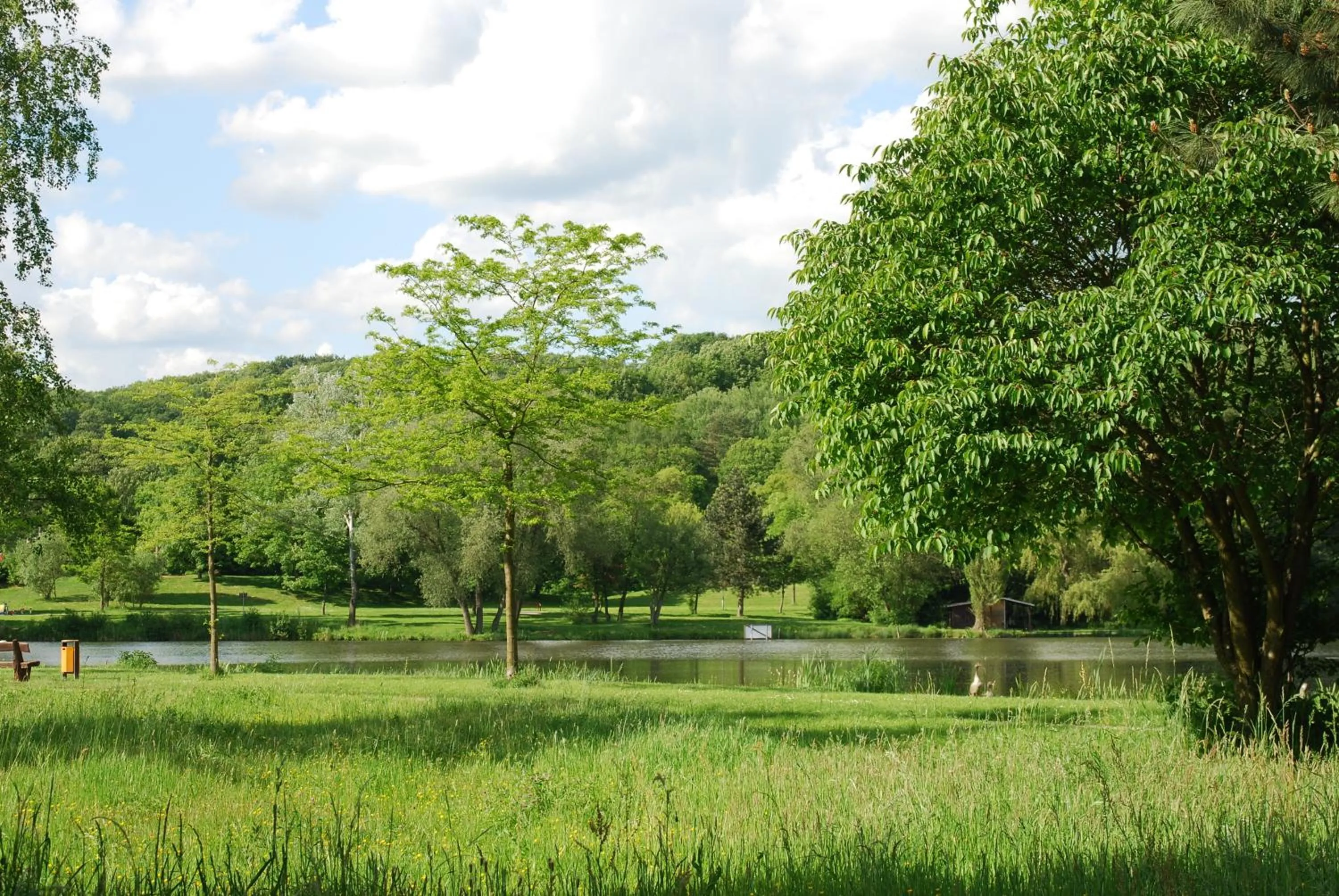 Area and facilities in Hotel am Steinertsee - Kassel-Ost