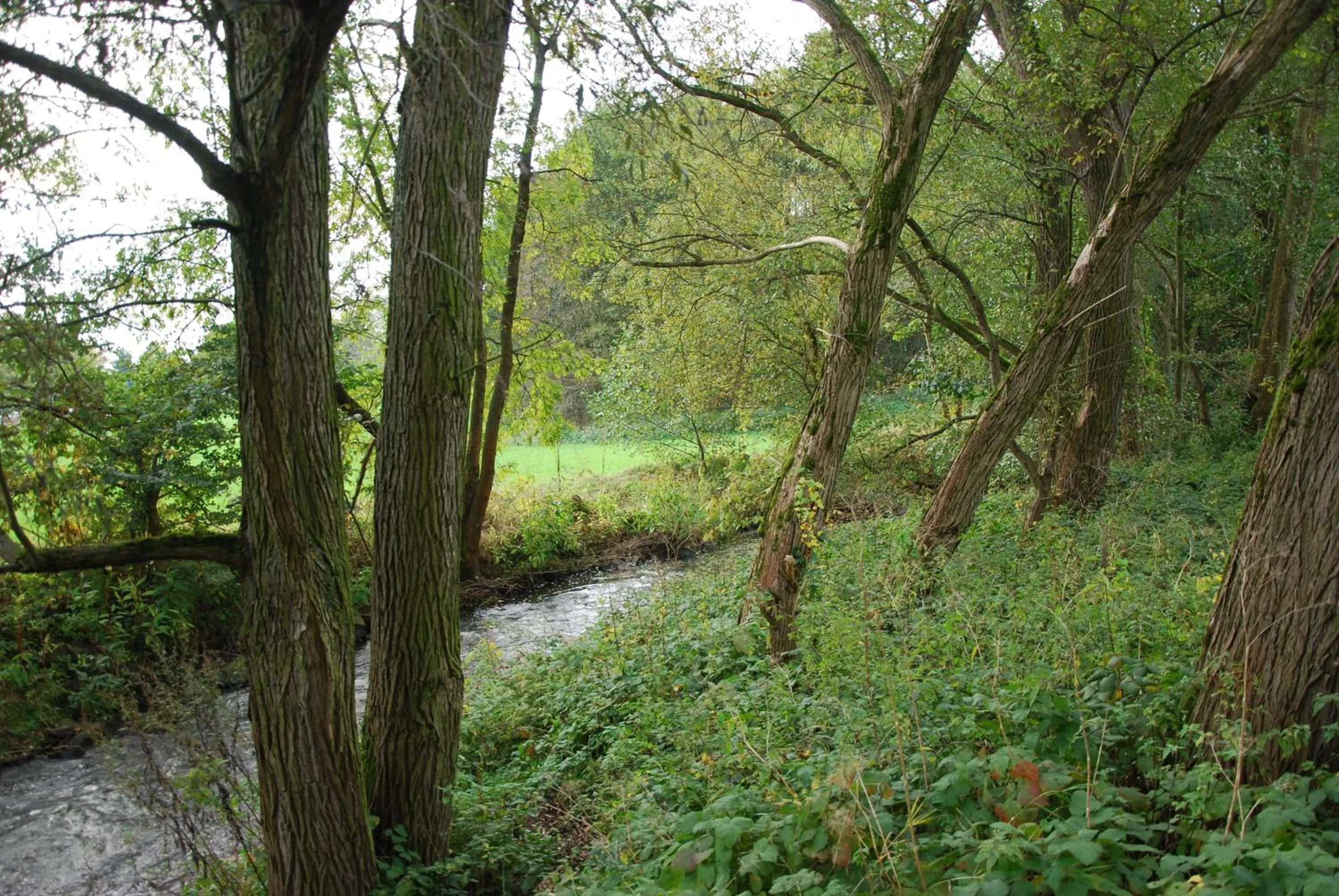 Area and facilities in Hotel am Steinertsee - Kassel-Ost
