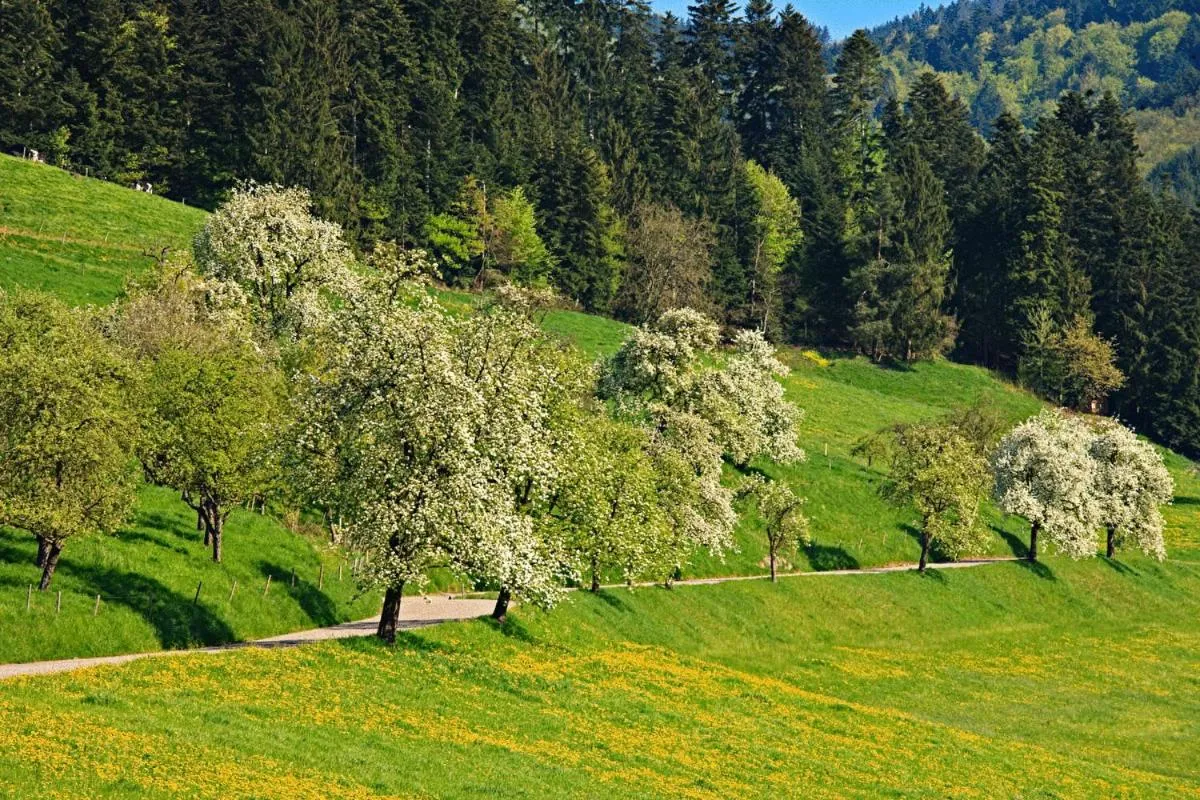 Area and facilities in Hotel Fuxxbau