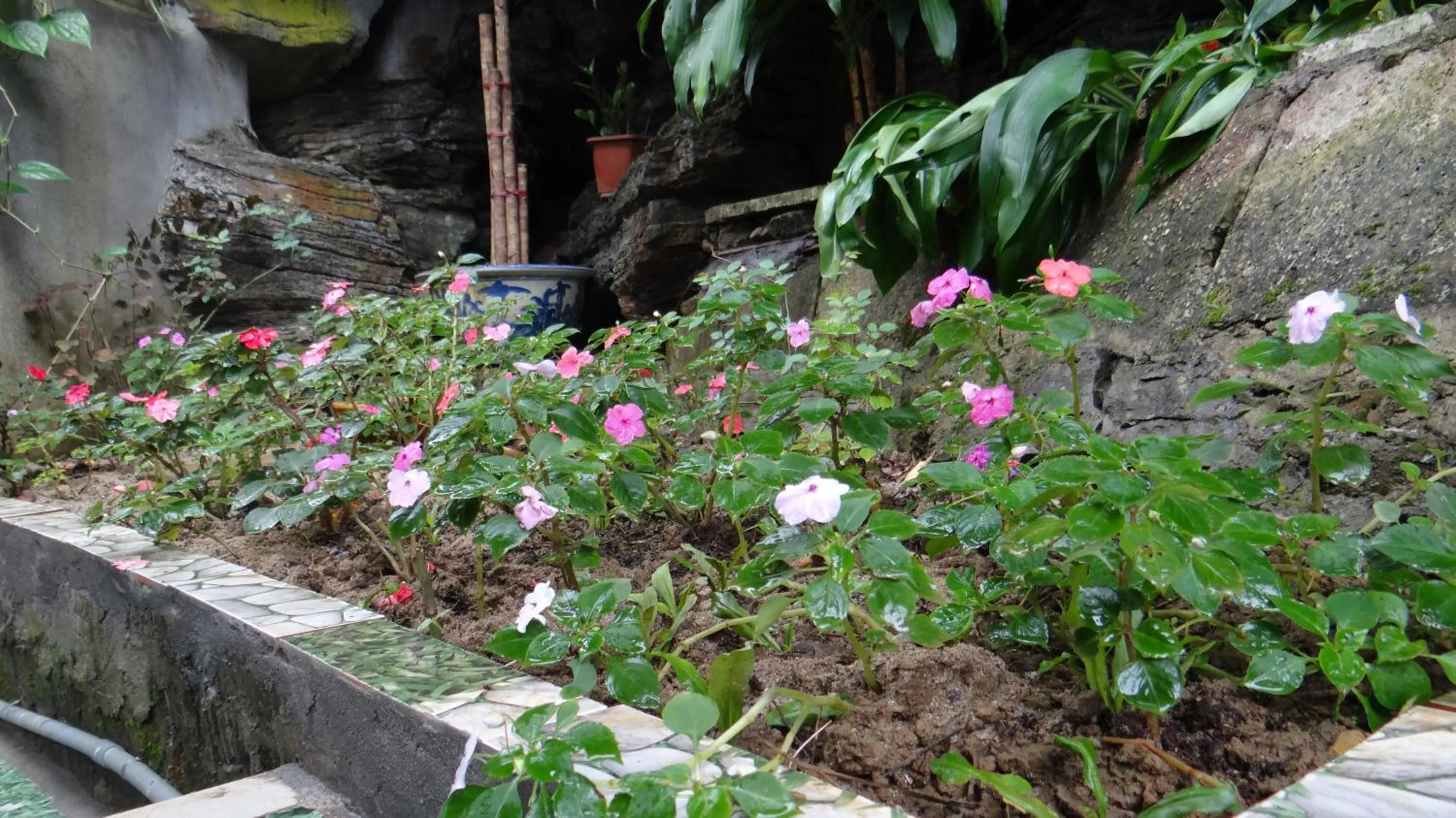Garden in Huong Thao 2 Hotel