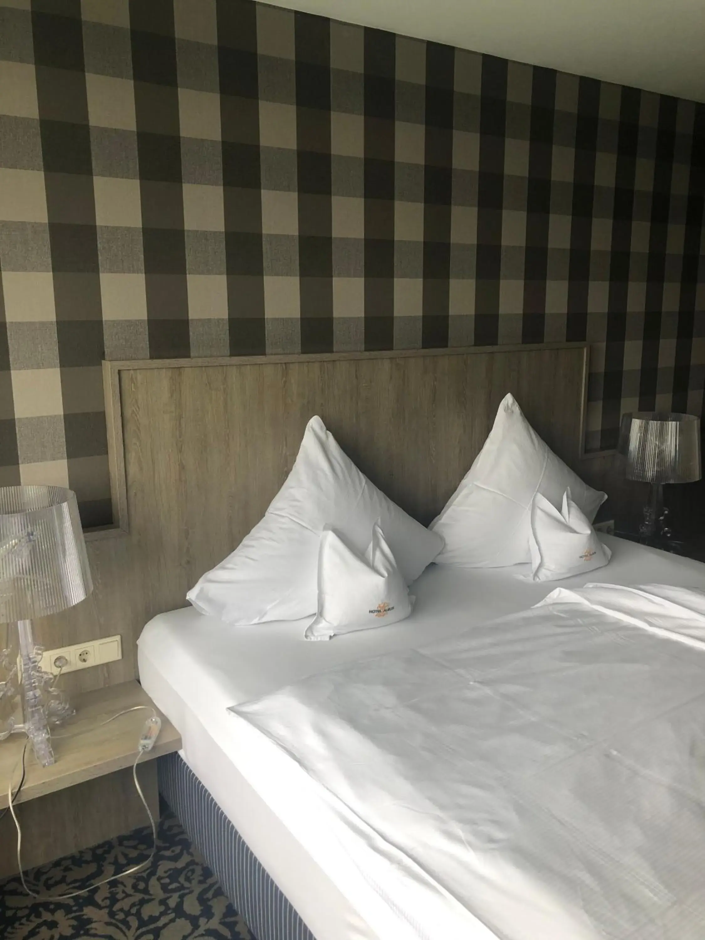Double Room in Hotel Albus Double Room in Hotel Albus