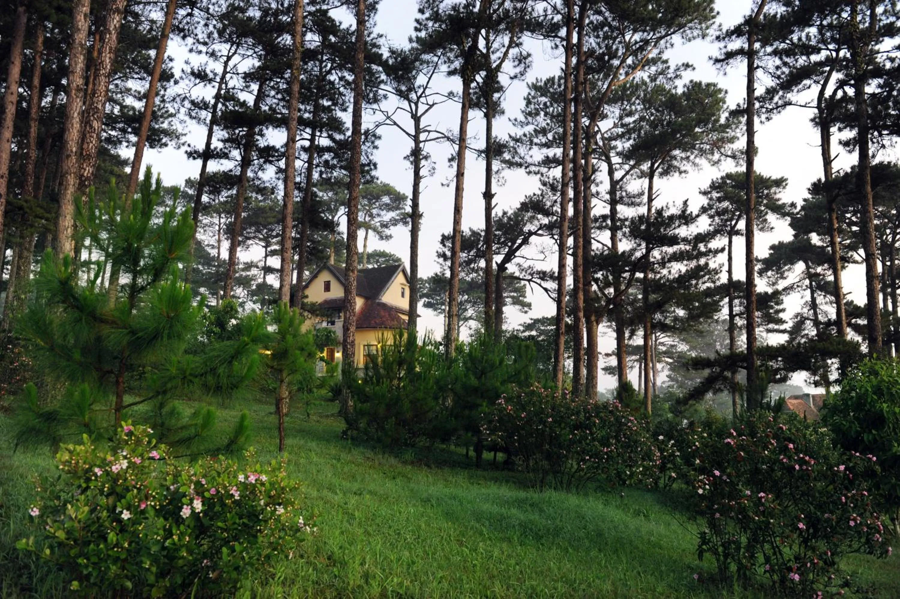 Natural landscape in Ana Mandara Villas Dalat Resort & Spa