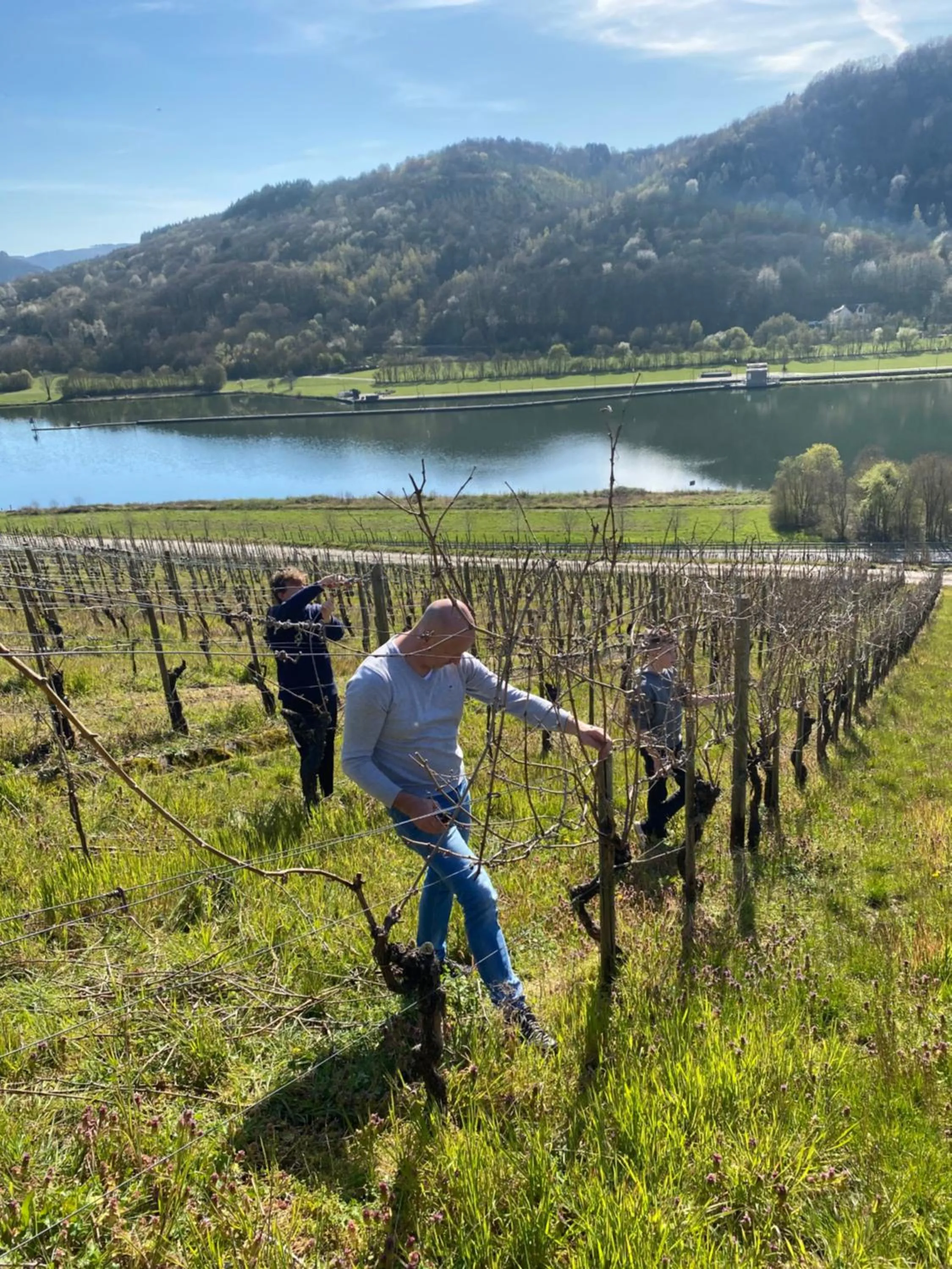 Landgasthof Zur Sonne