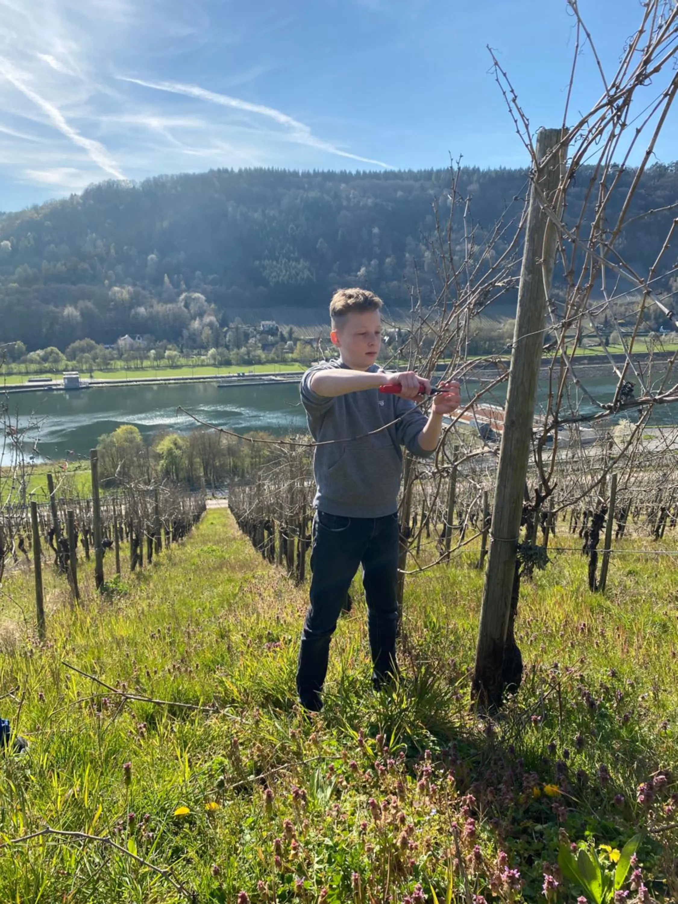 Staff in Landgasthof Zur Sonne