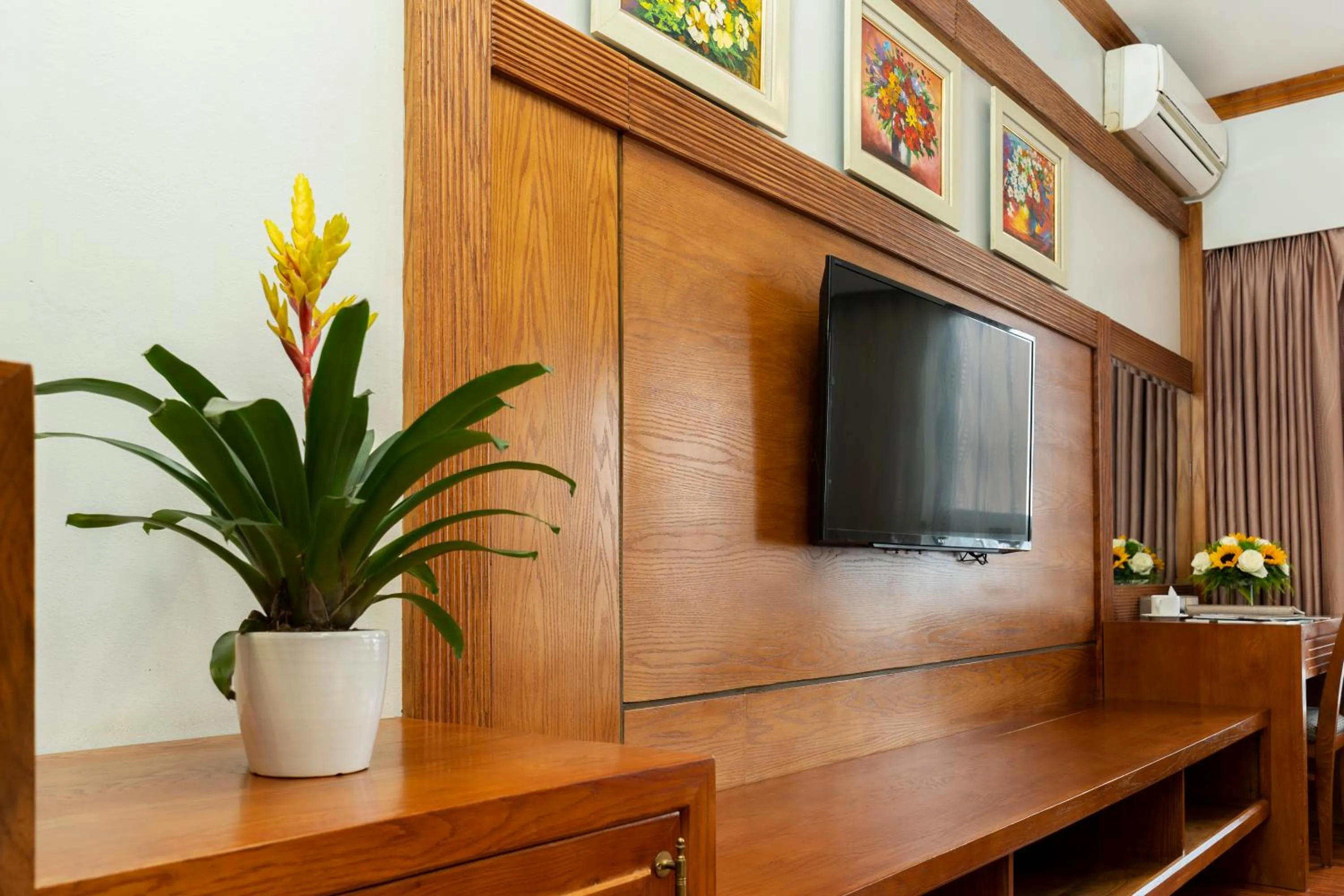 TV and multimedia in Phuong Anh Hotel 2 Hai Duong