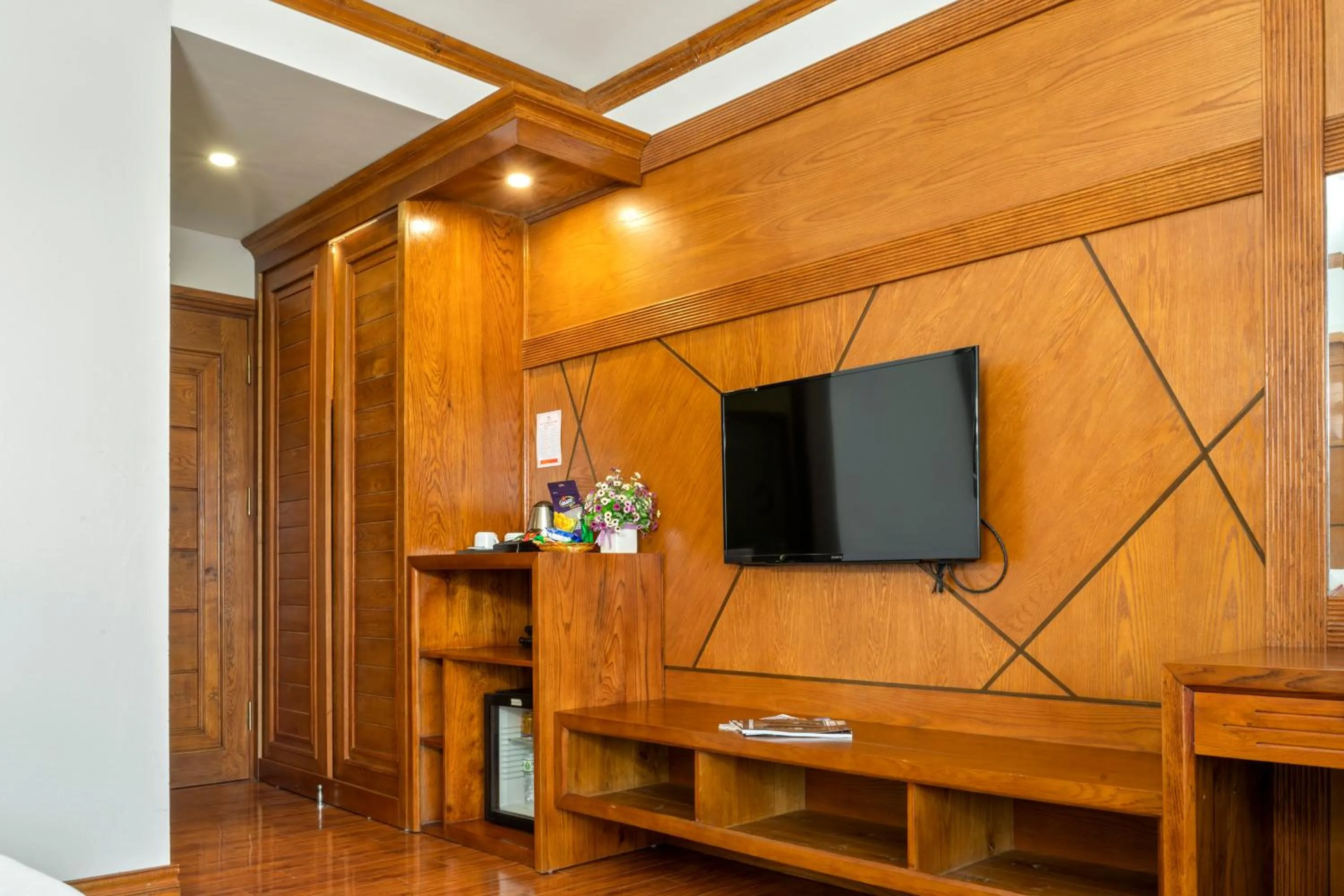 TV and multimedia in Phuong Anh Hotel 2 Hai Duong