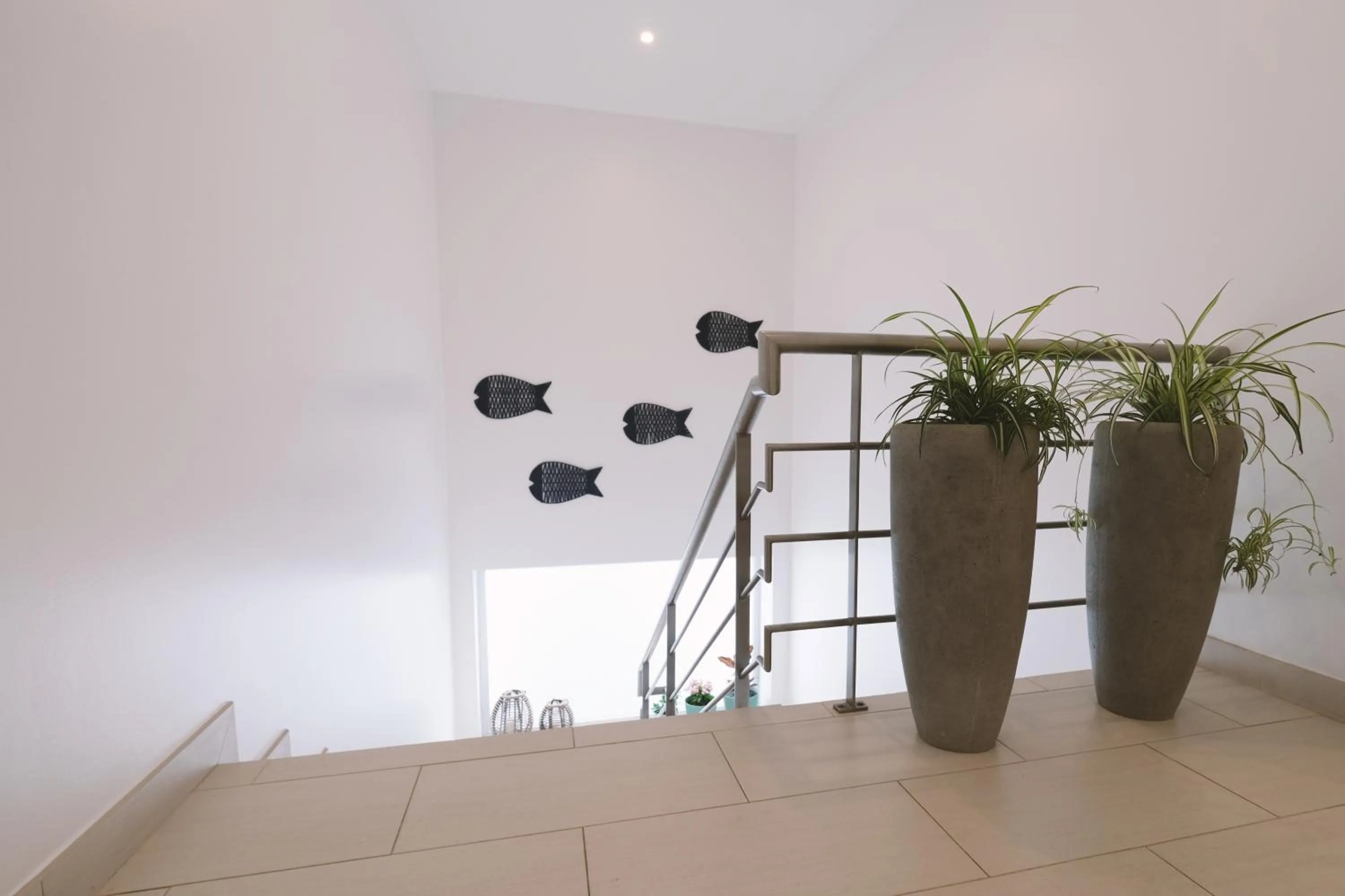 Other in Sao Vicente Lodge - Atlantic Retreat