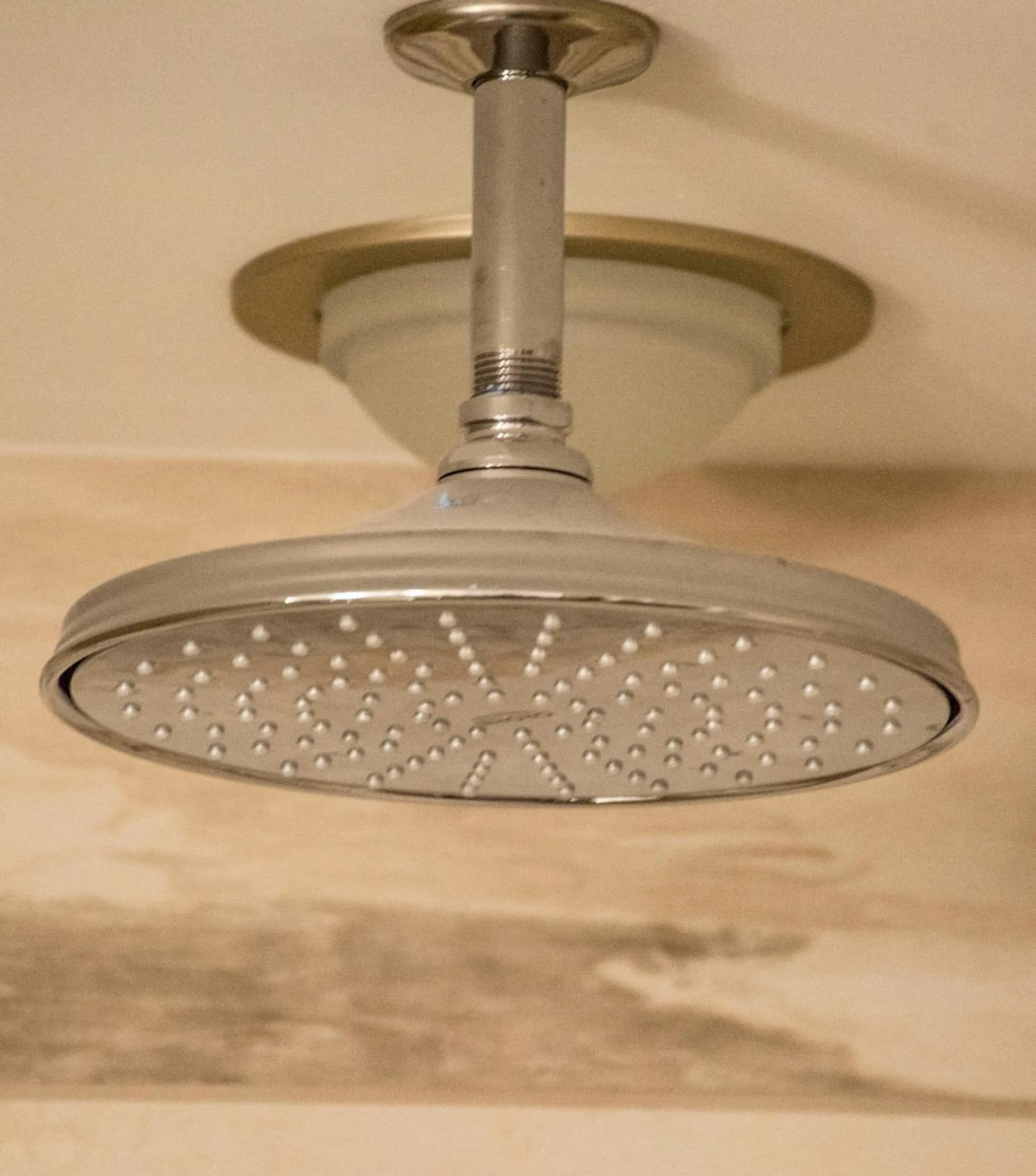 Junior Suite in The Delavan Hotel Junior Suite in The Delavan Hotel