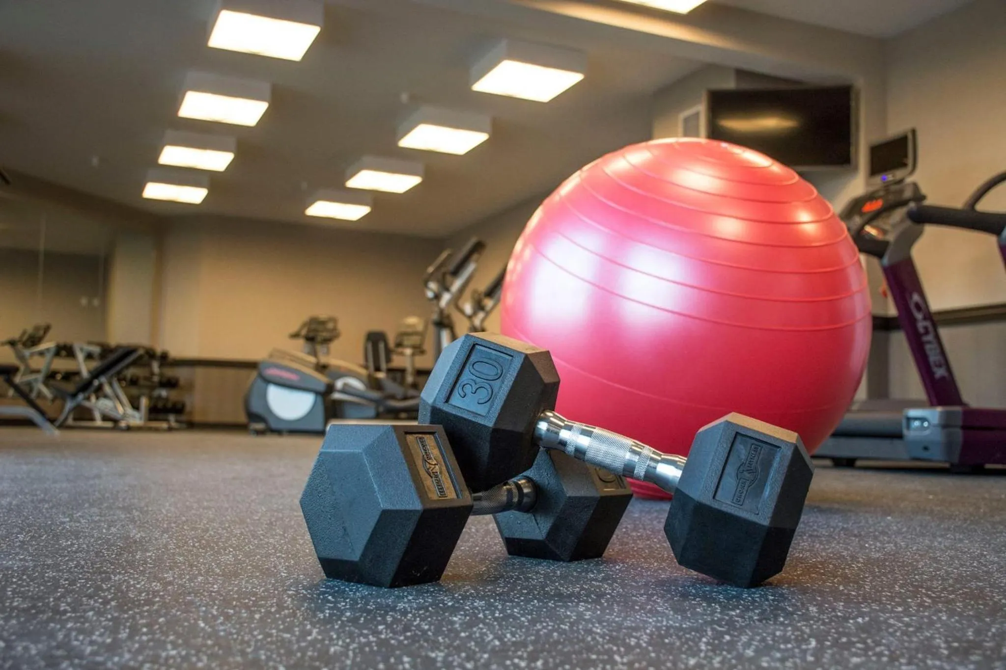 Fitness centre/facilities in The Delavan Hotel