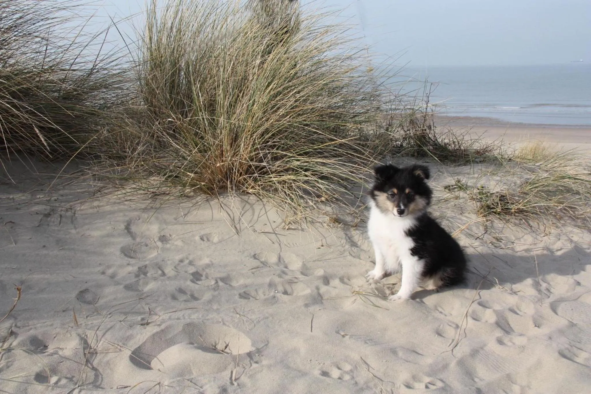 Natural landscape in ABC Hotel