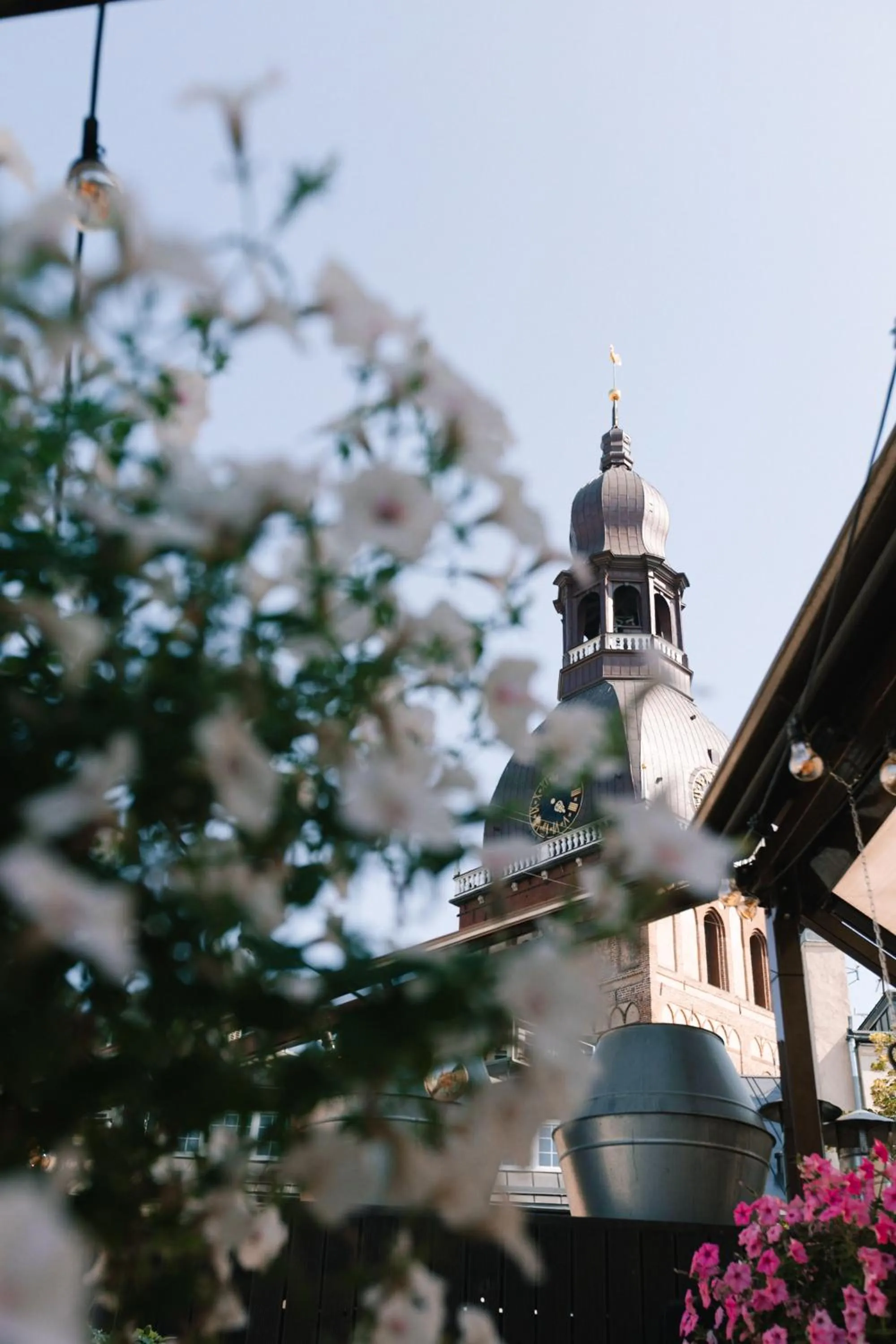 Balcony/Terrace in Dome Hotel