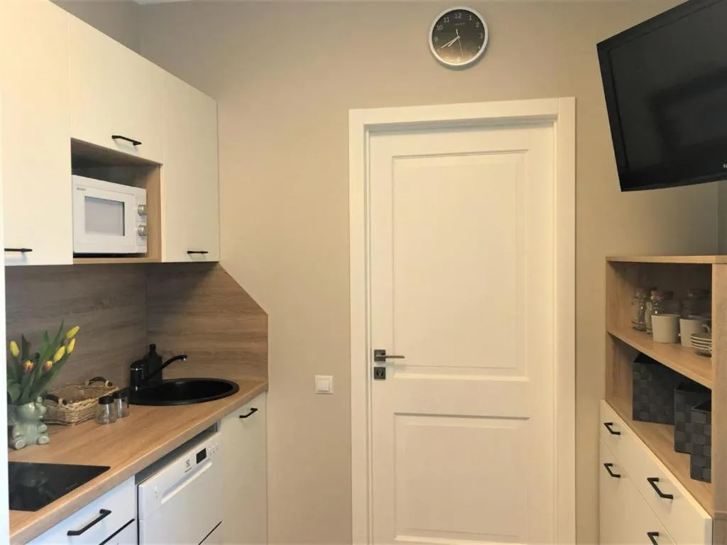 Kitchen or kitchenette in Alve Apart Hotel