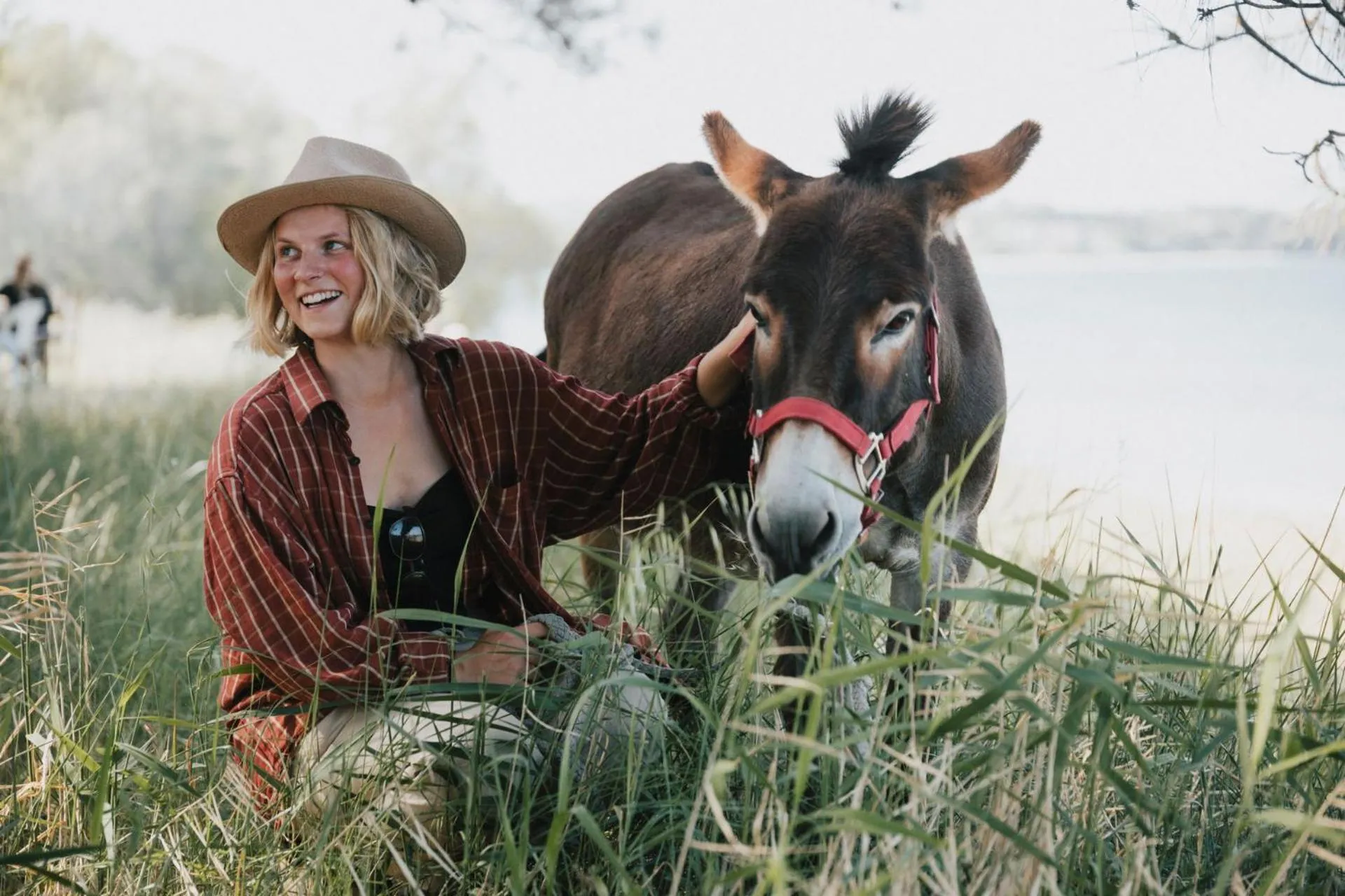 Animals in Hotel Villa Sevasti