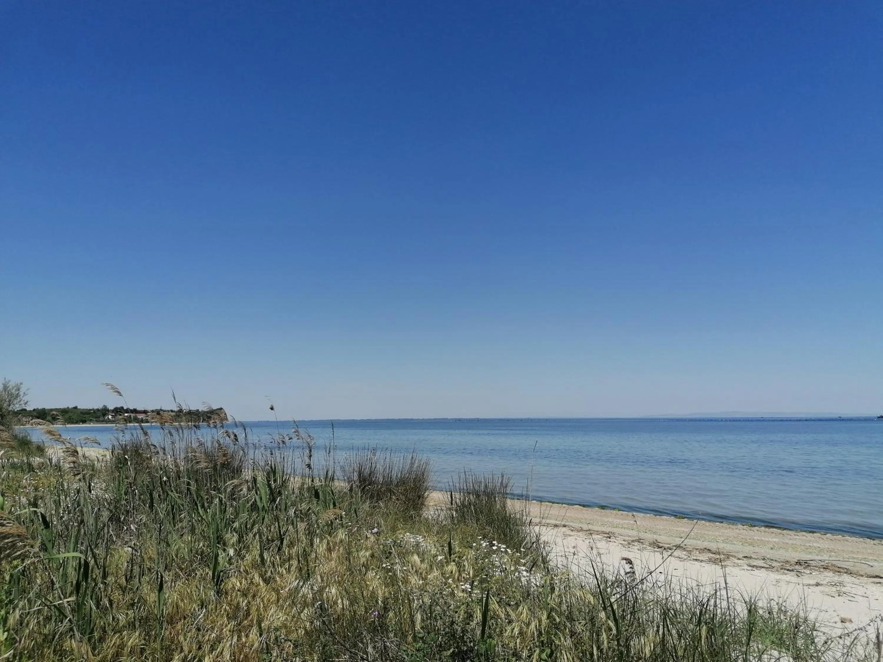 Natural landscape in Hotel Villa Sevasti