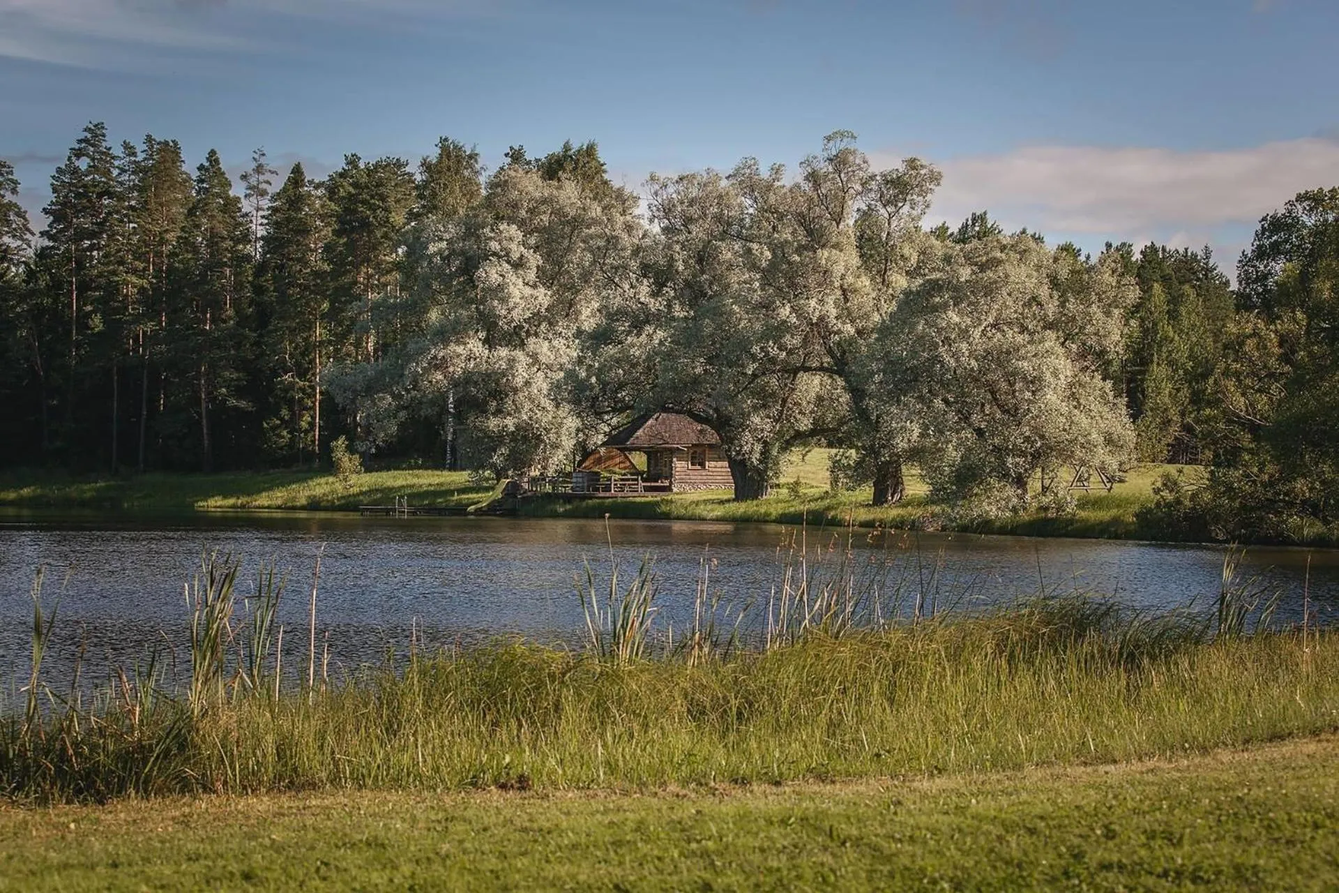 Natural landscape in Marcienas Muiza & SPA