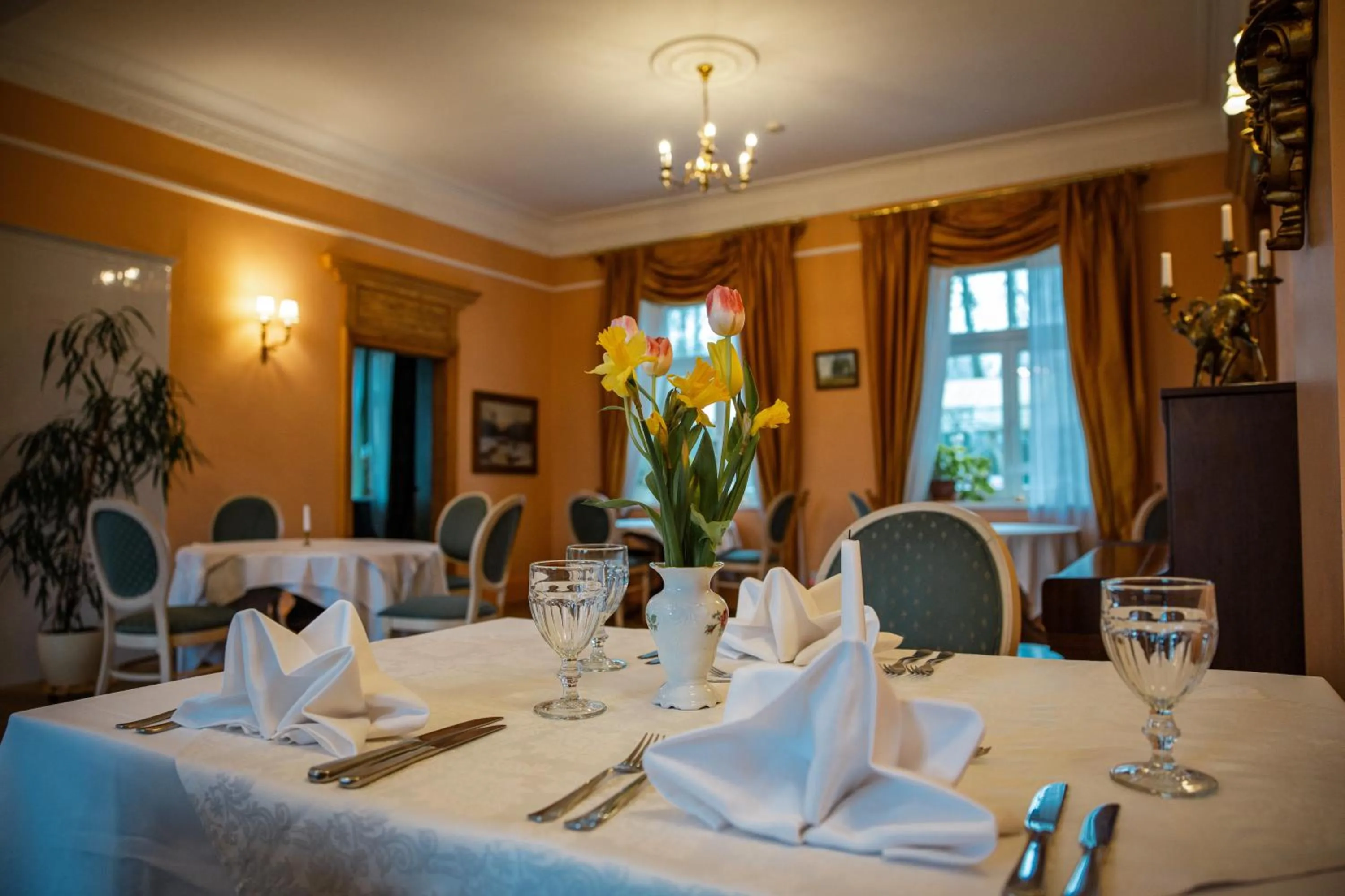 Restaurant/places to eat in Marcienas Muiza & SPA