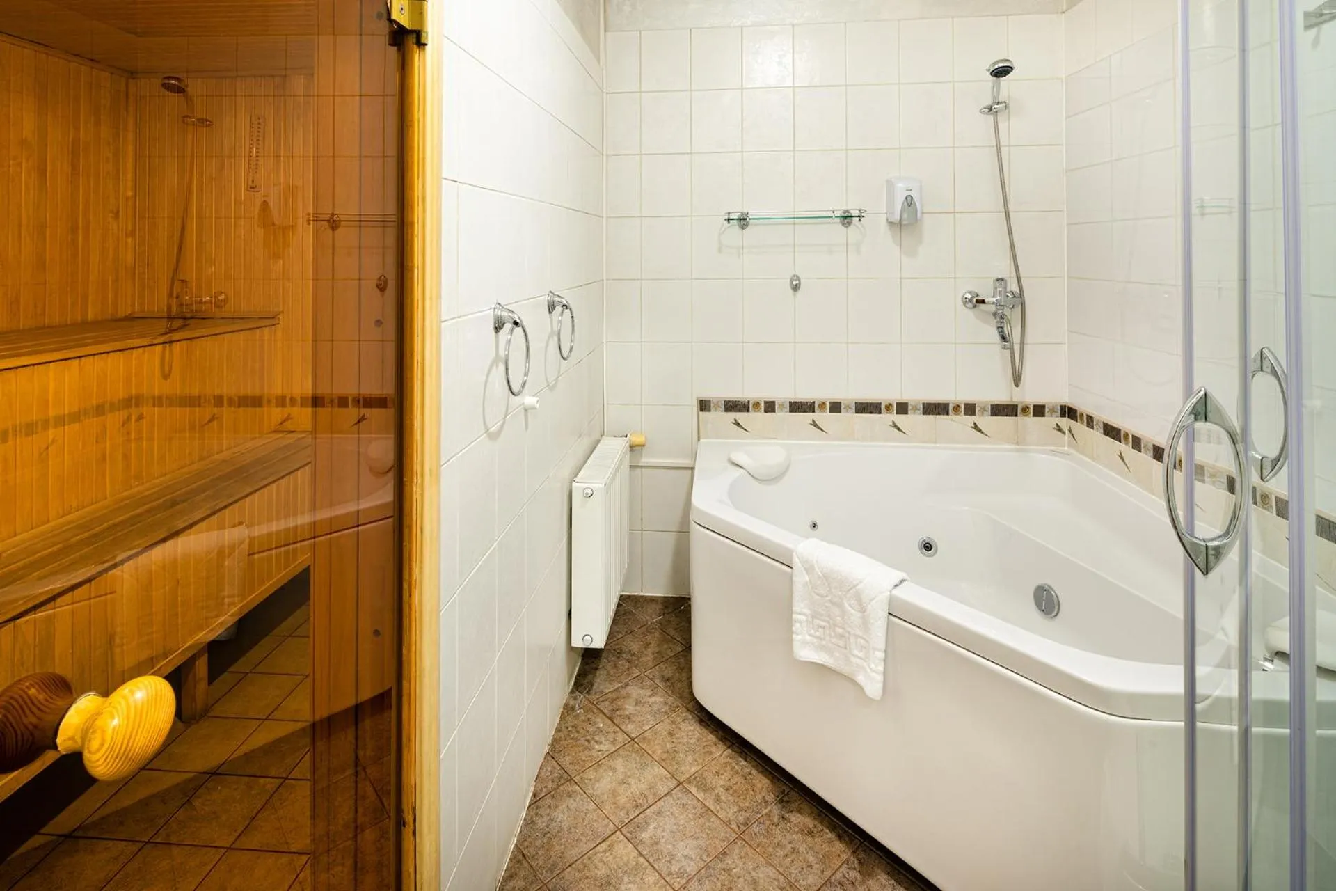 Sauna in Biplan Hotel