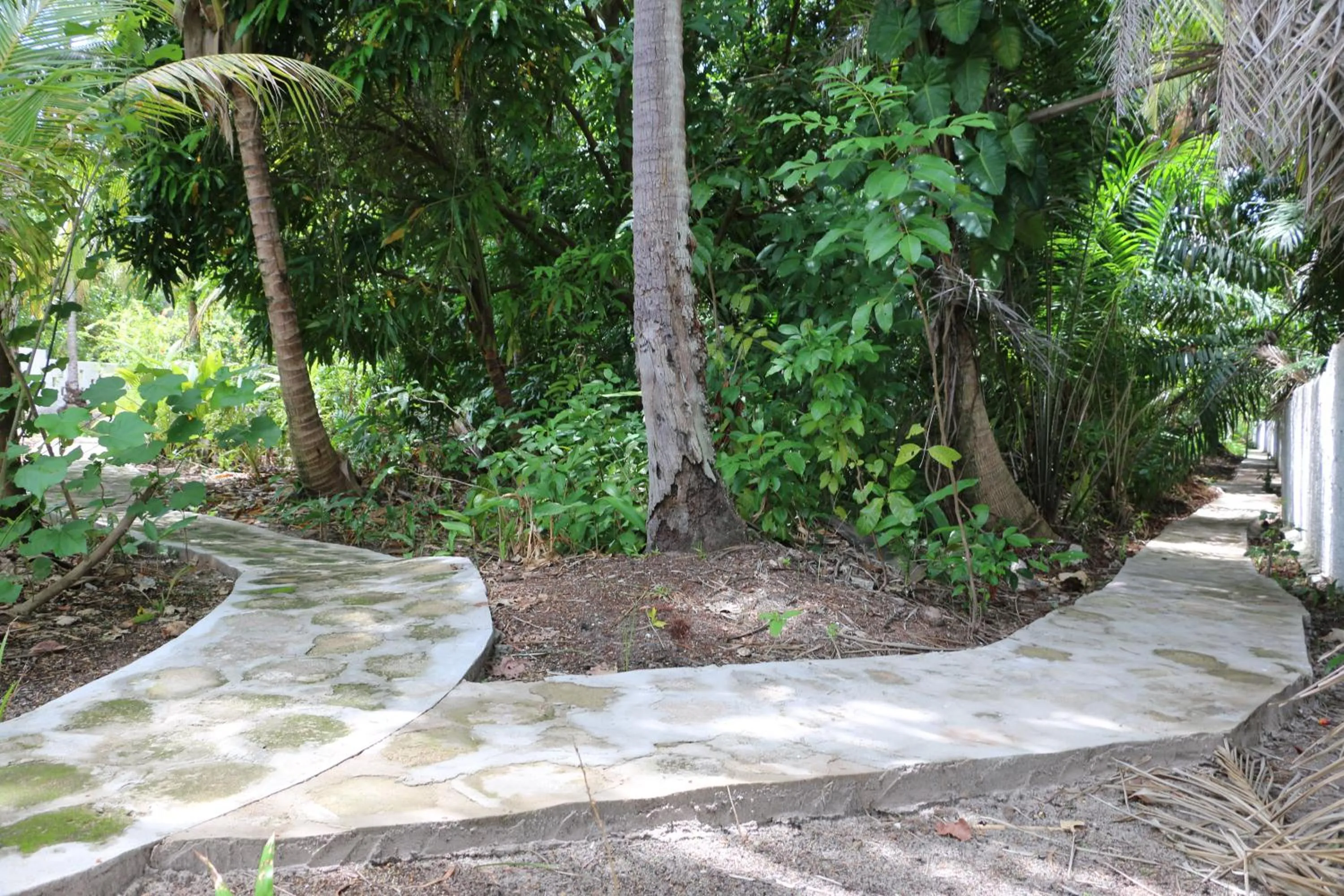 Hiking in Pousada Ponta de Mangue