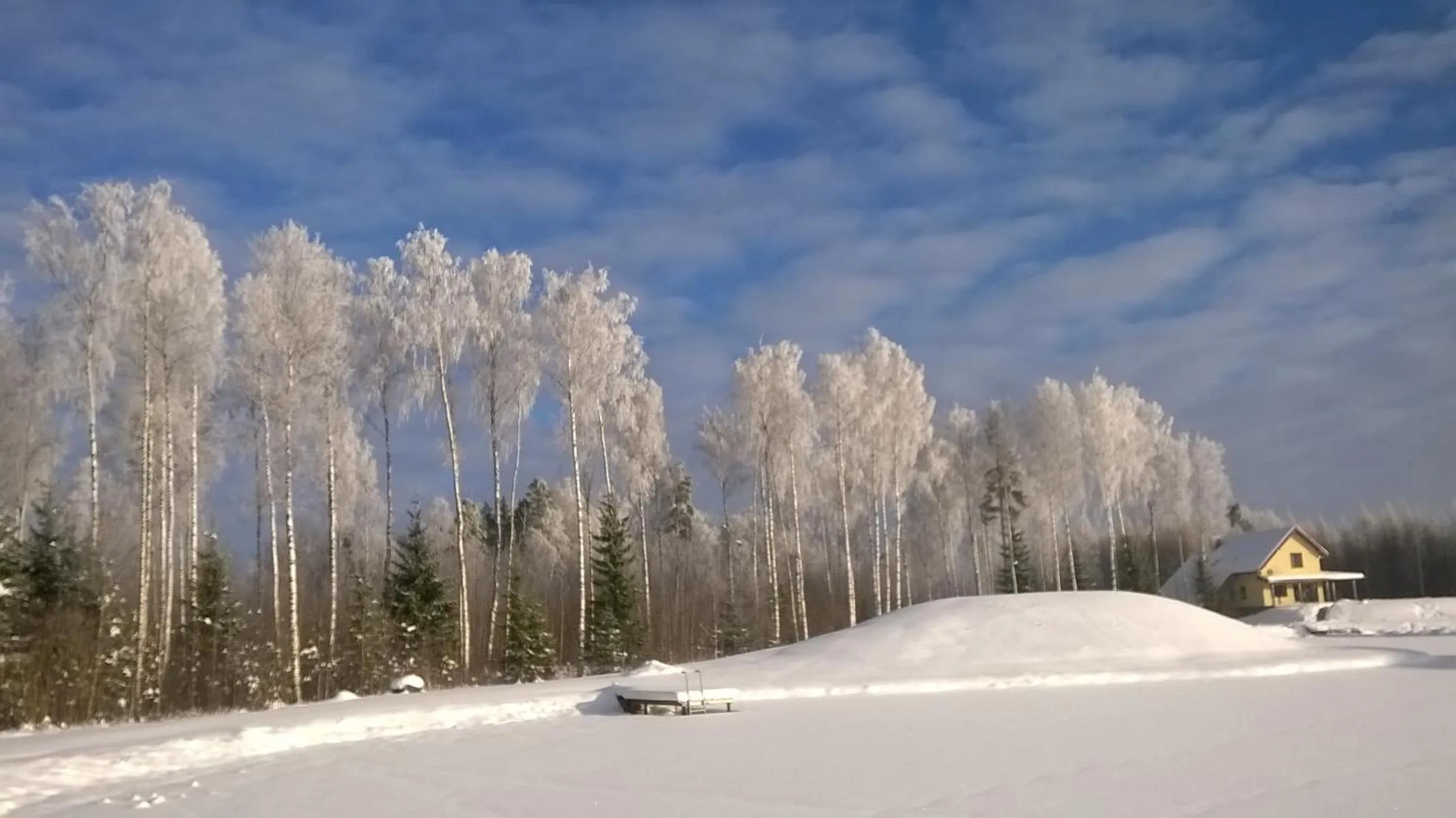 Other in Meža Salas