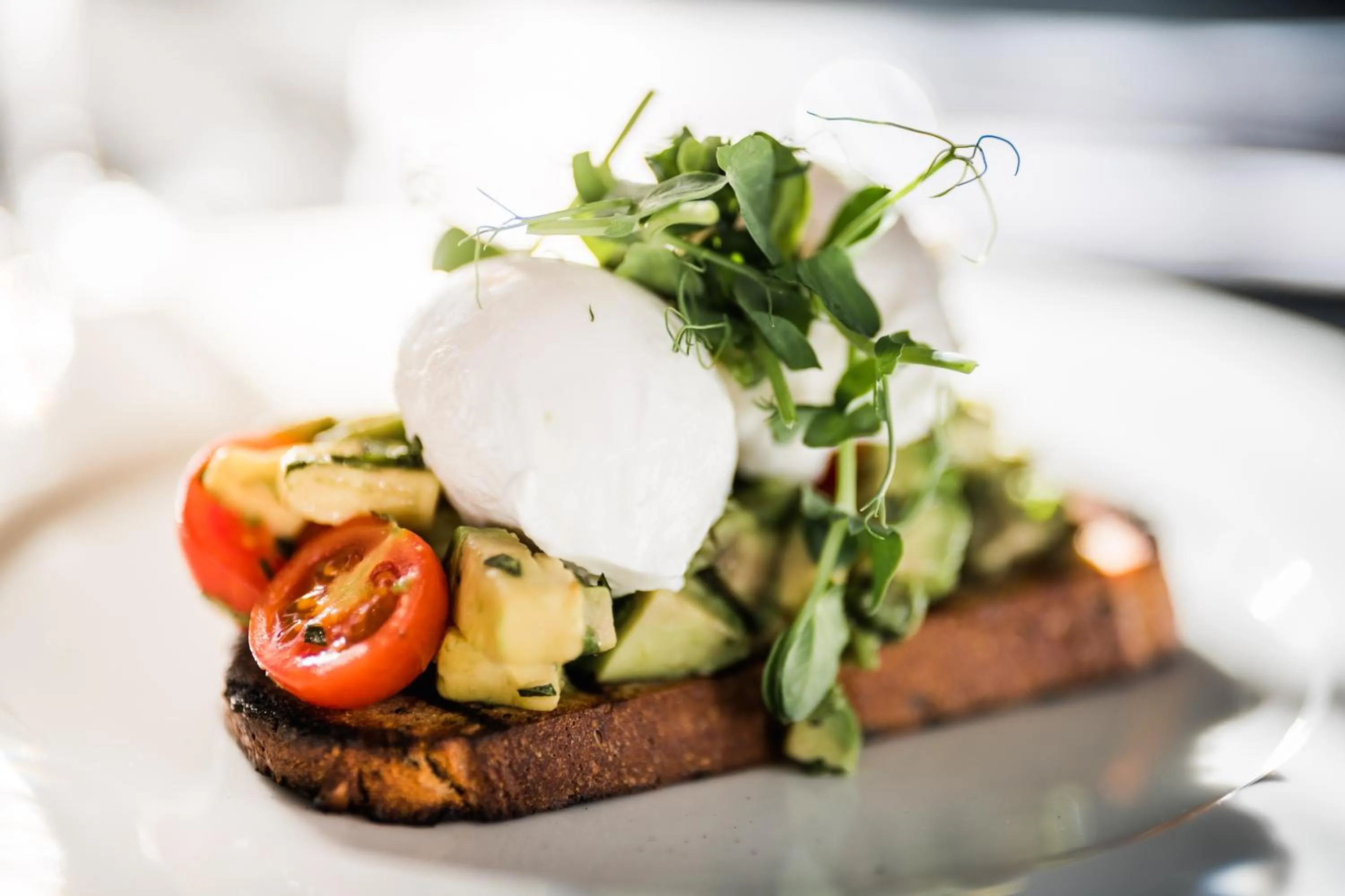 Food in Maestro Design Hotel