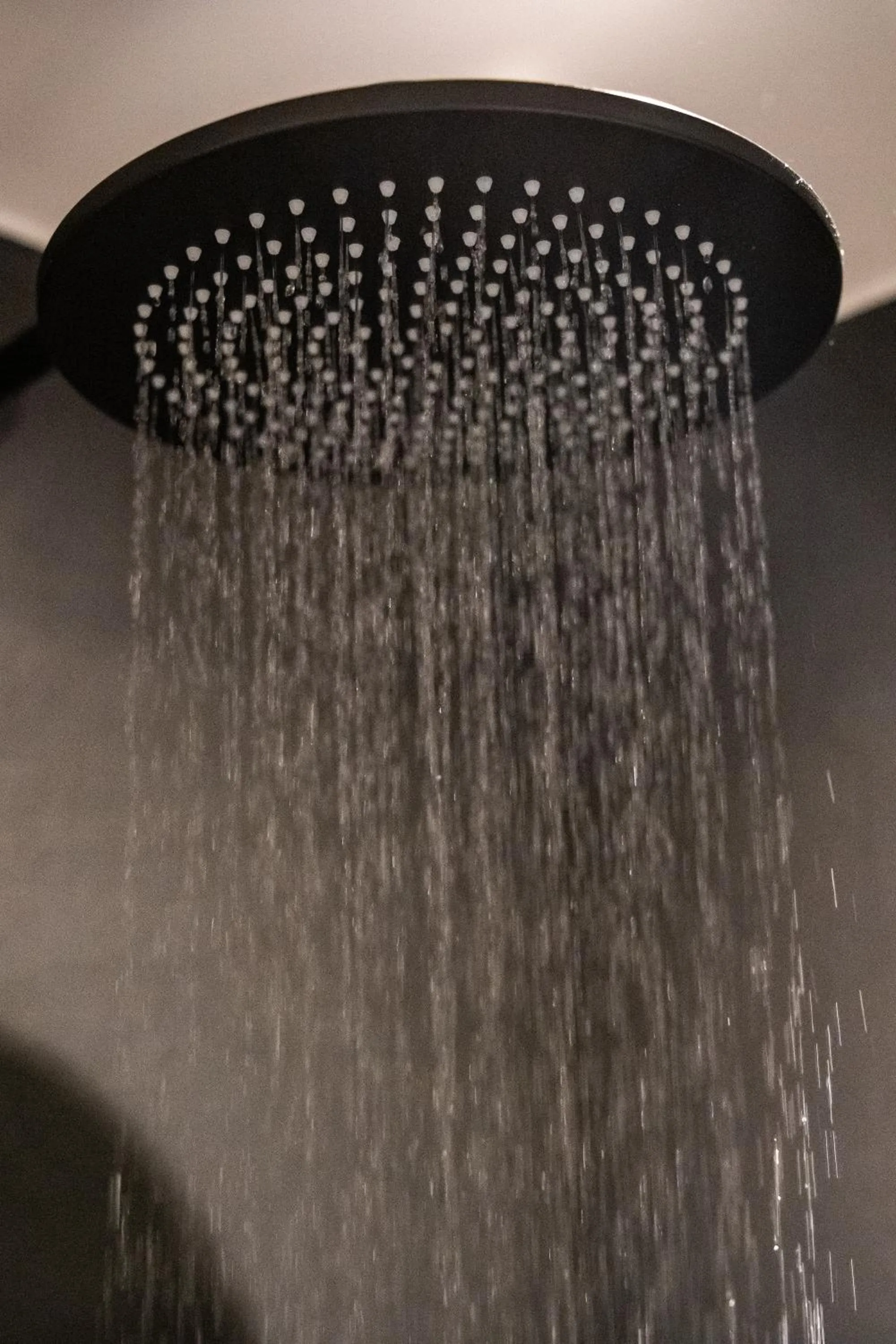 Maestro Design Hotel