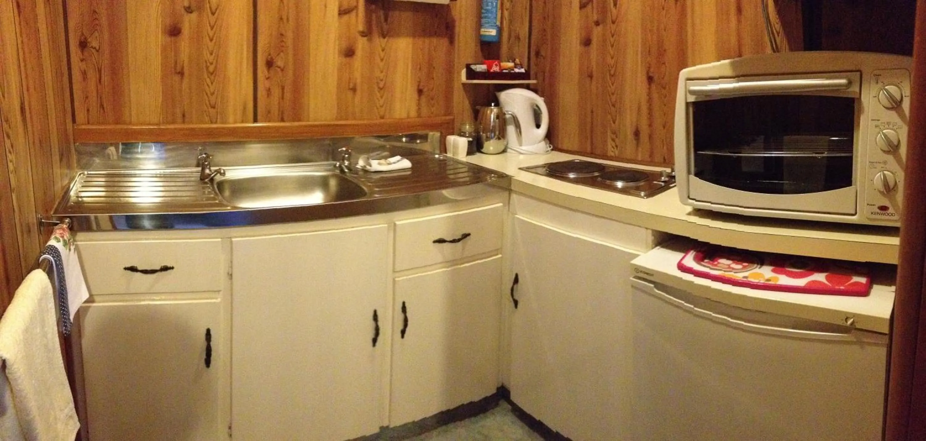 Kitchen or kitchenette in Owaka Lodge Motel