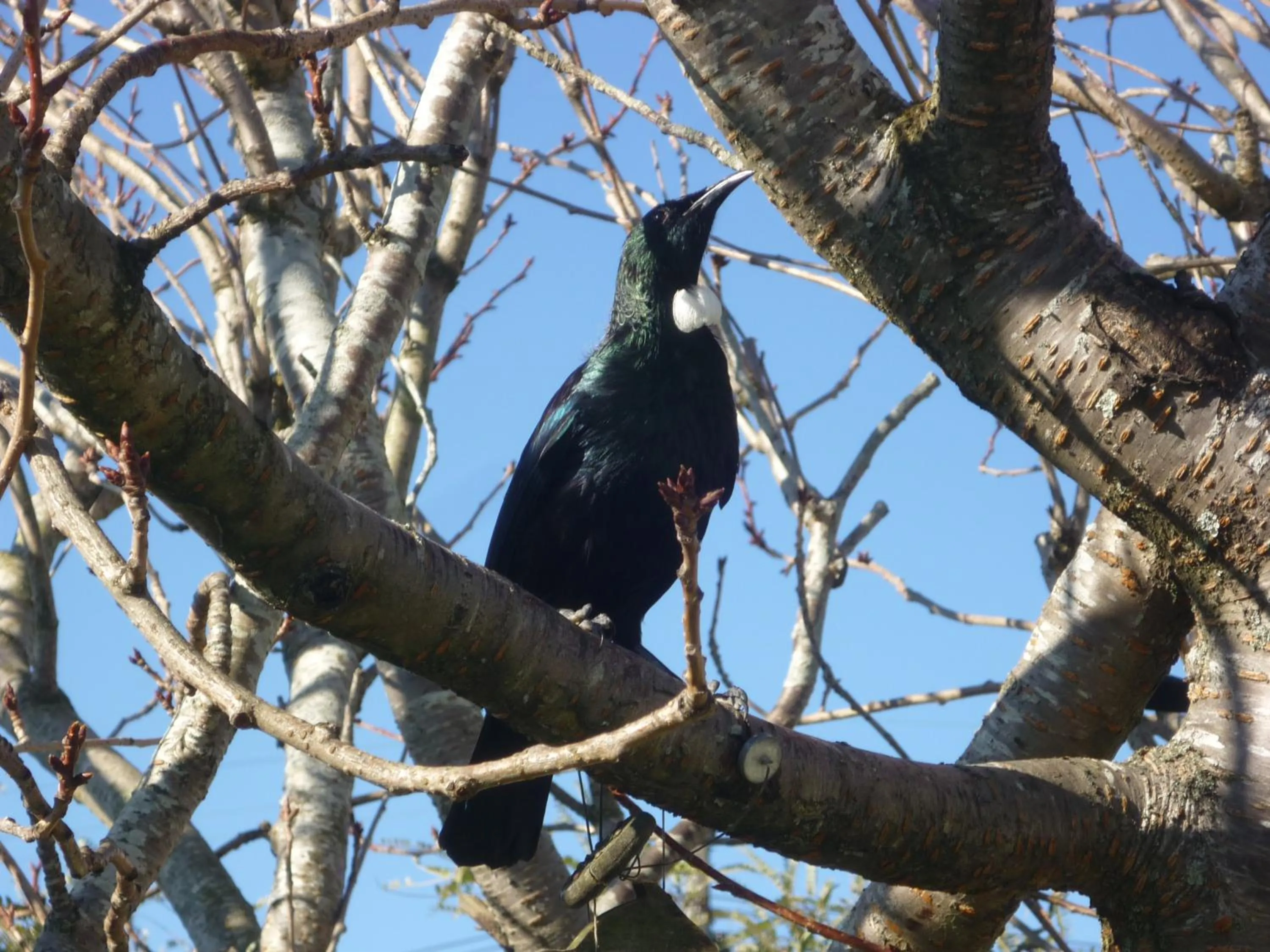 Property building in Owaka Lodge Motel