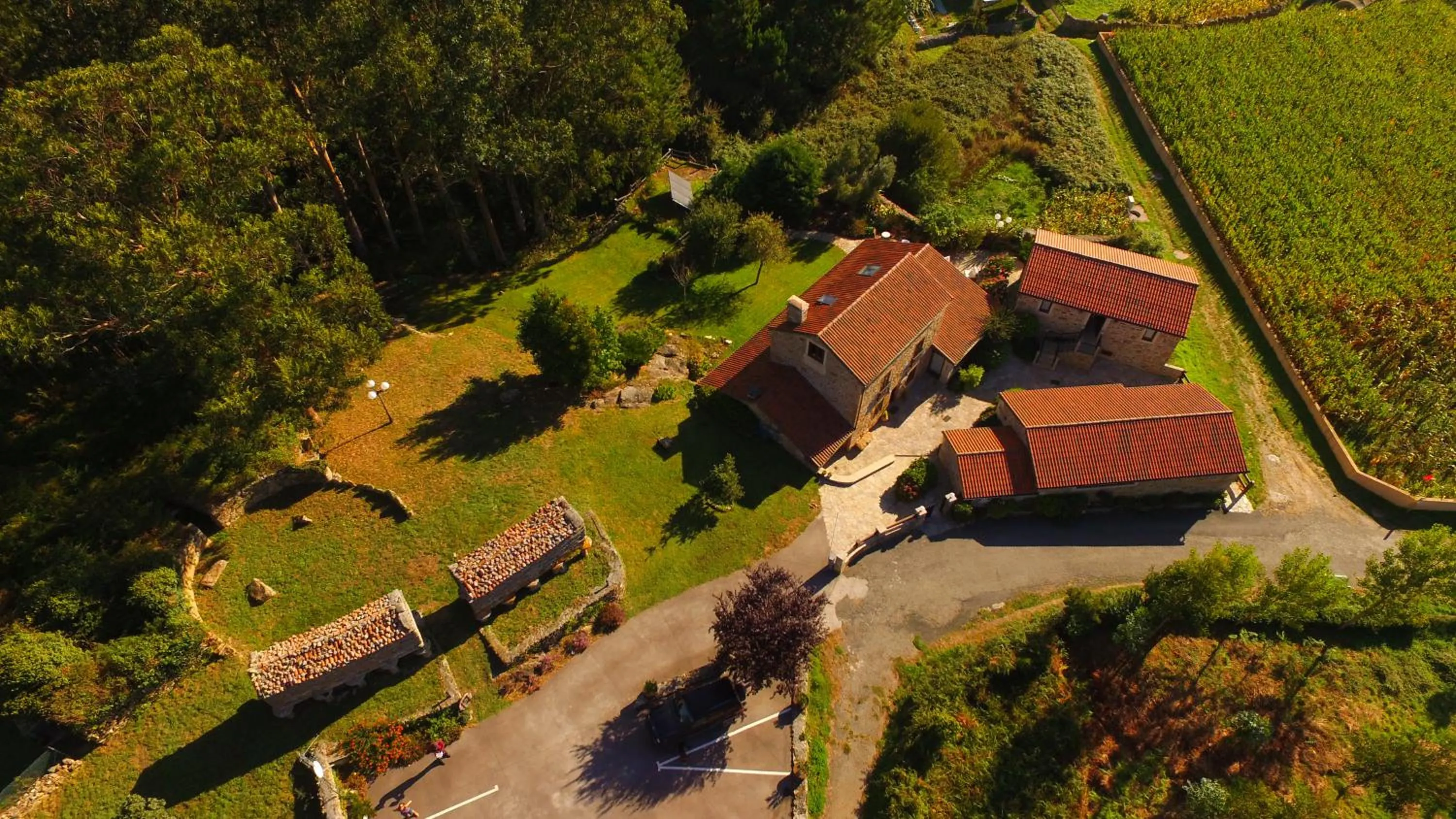 Bird's eye view in Hotel Rustico Lugar Do Cotariño