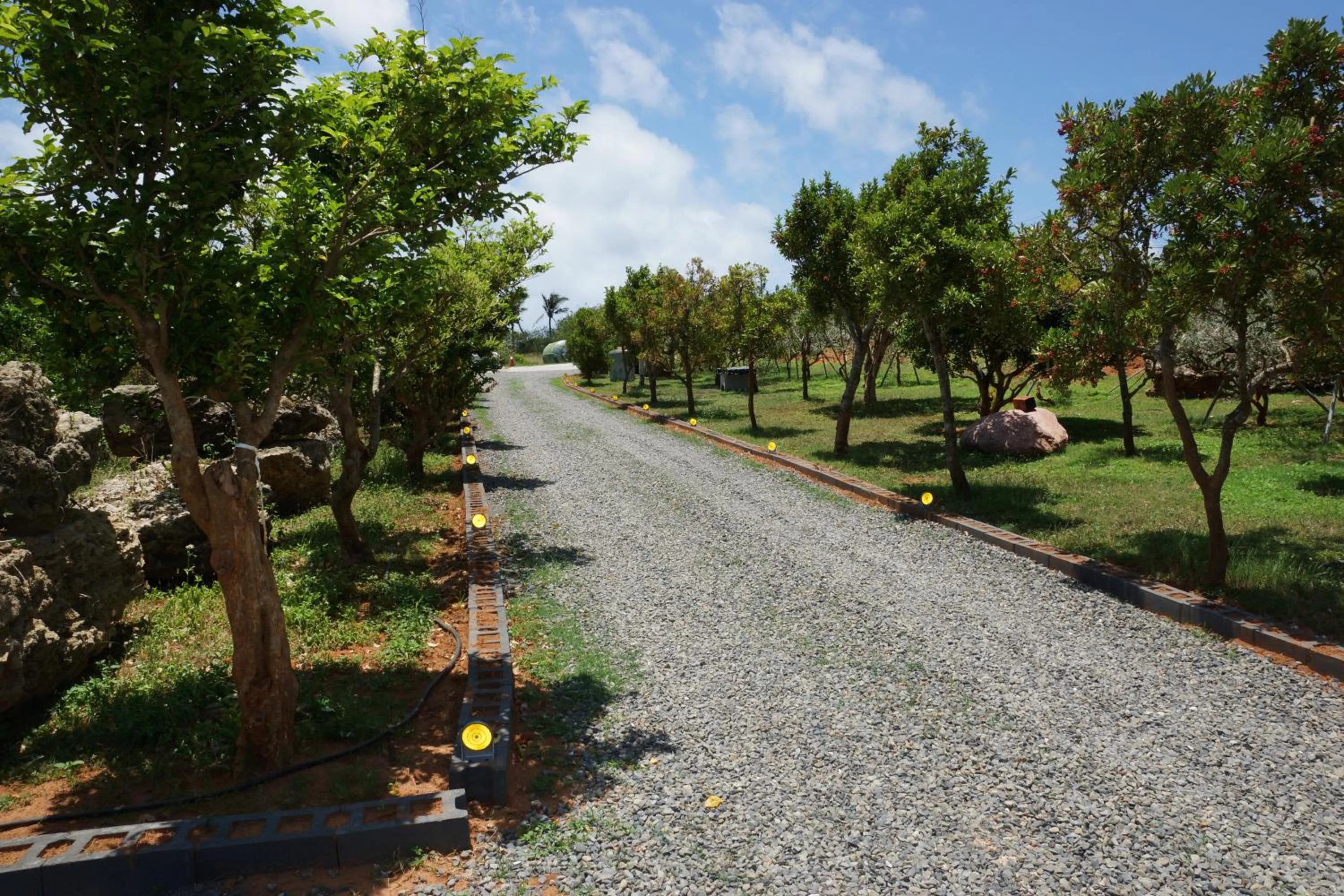 Property building in Coral B&B