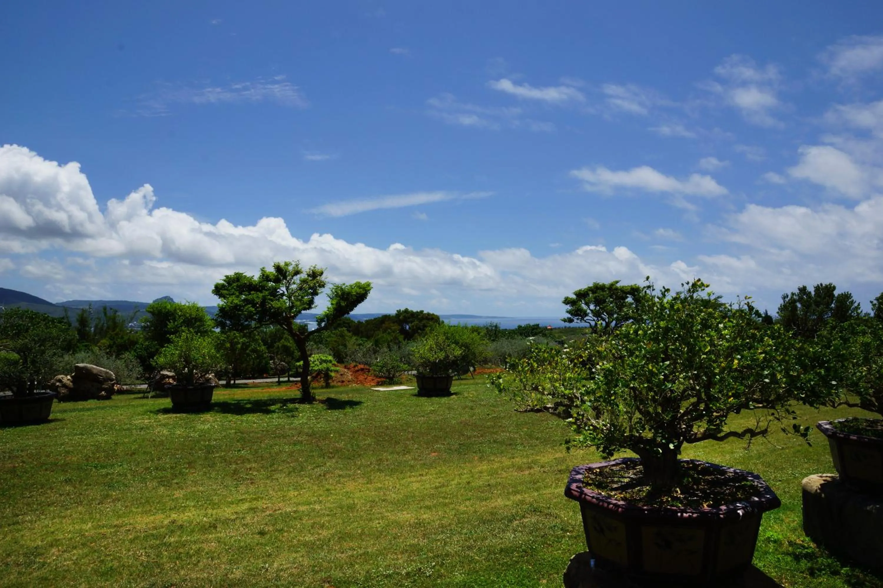 Property building in Coral B&B