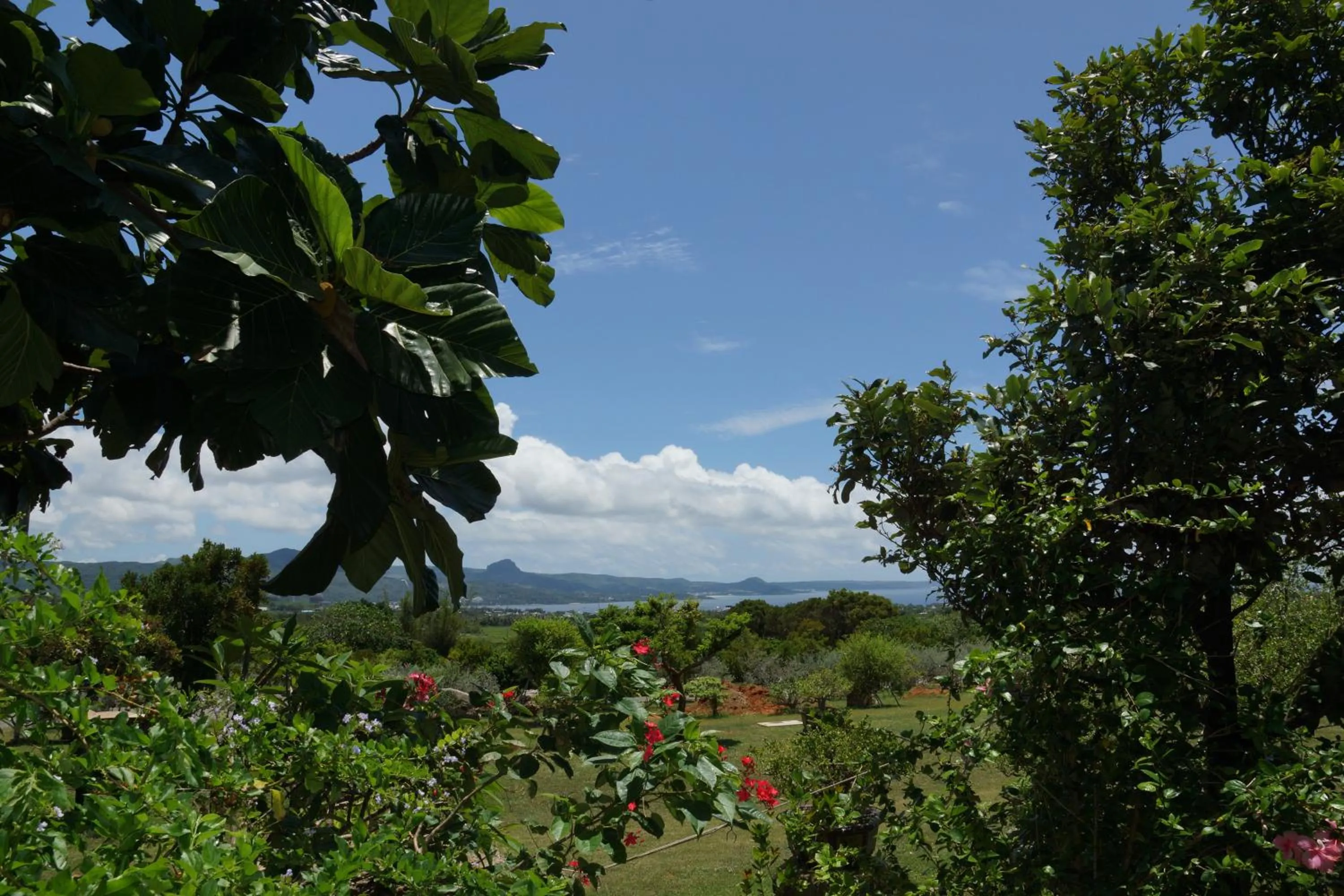 Property building in Coral B&B