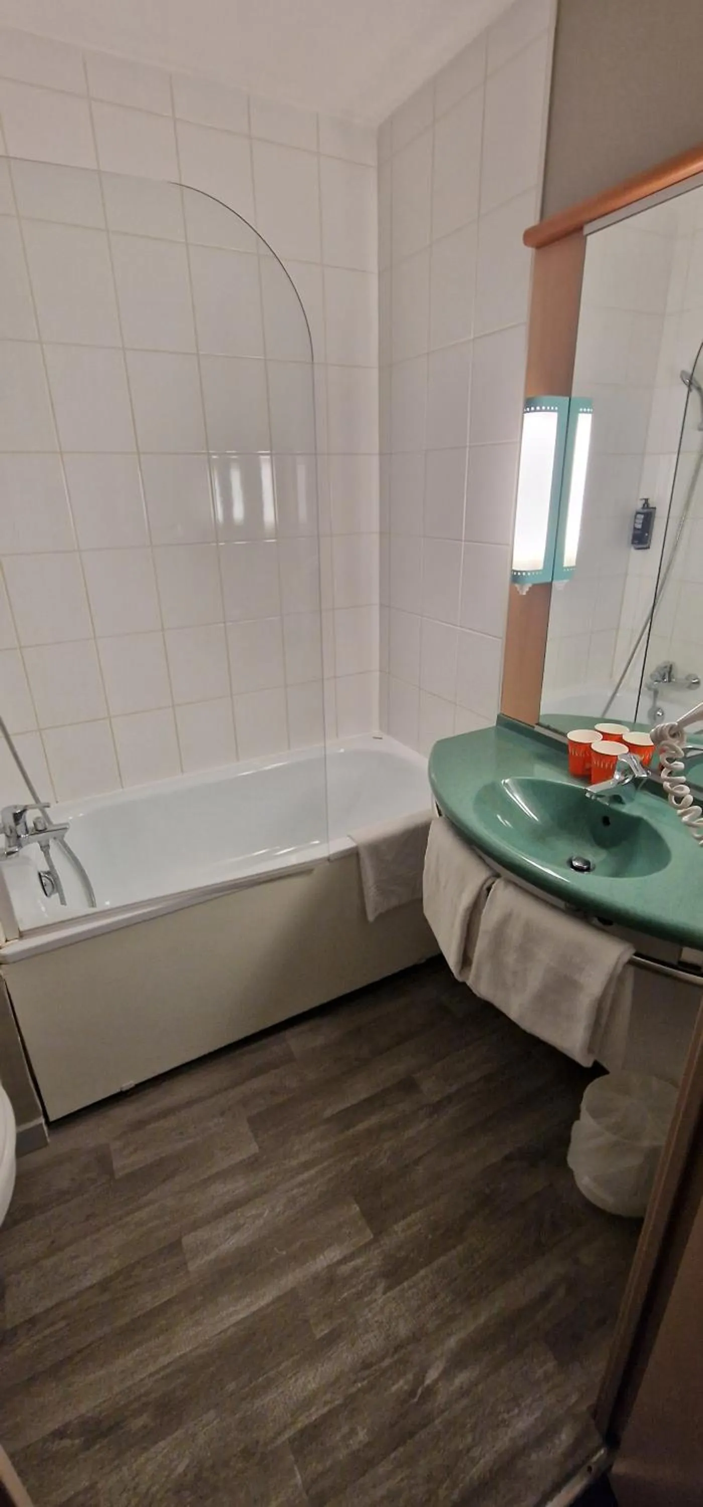 Bathroom in ibis Strasbourg Aéroport Le Zénith