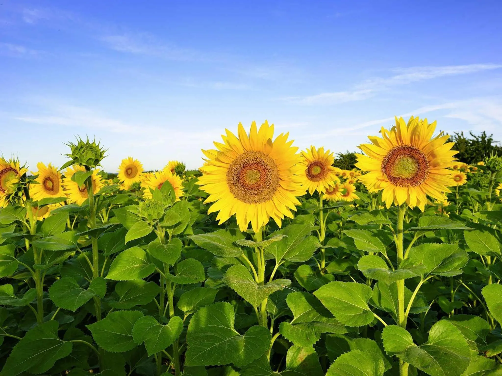 Other in ibis Orange Centre