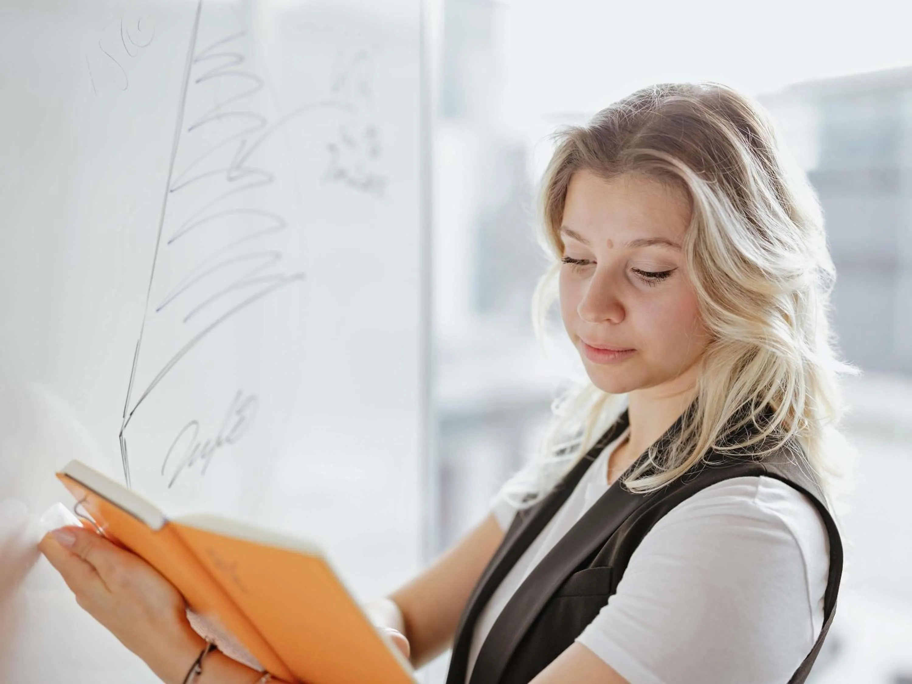 Meeting/conference room in ibis Orange Centre