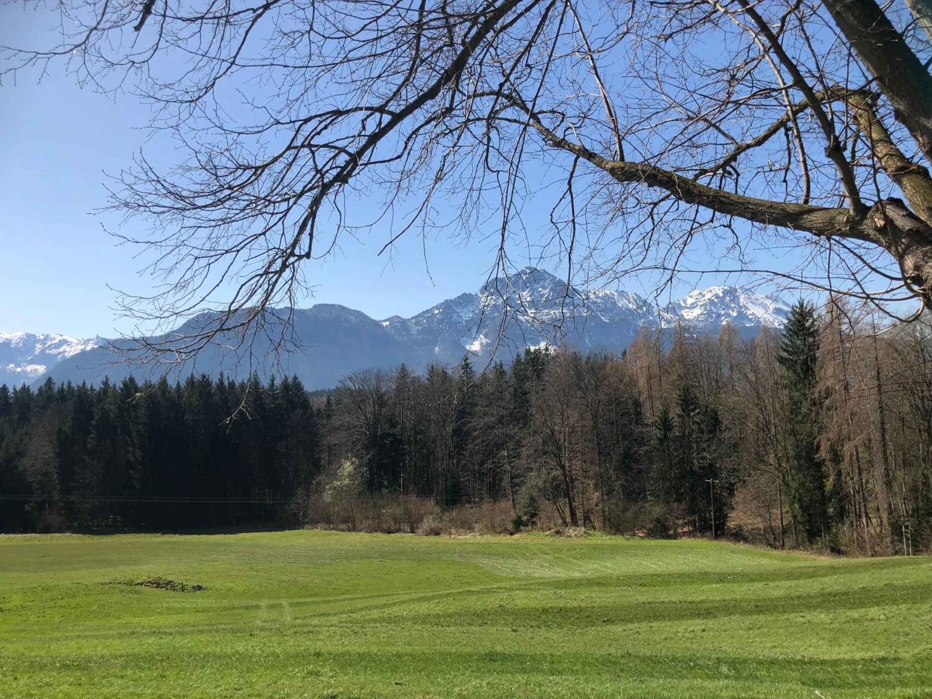 Natural landscape in Ferienwohnung Lisa