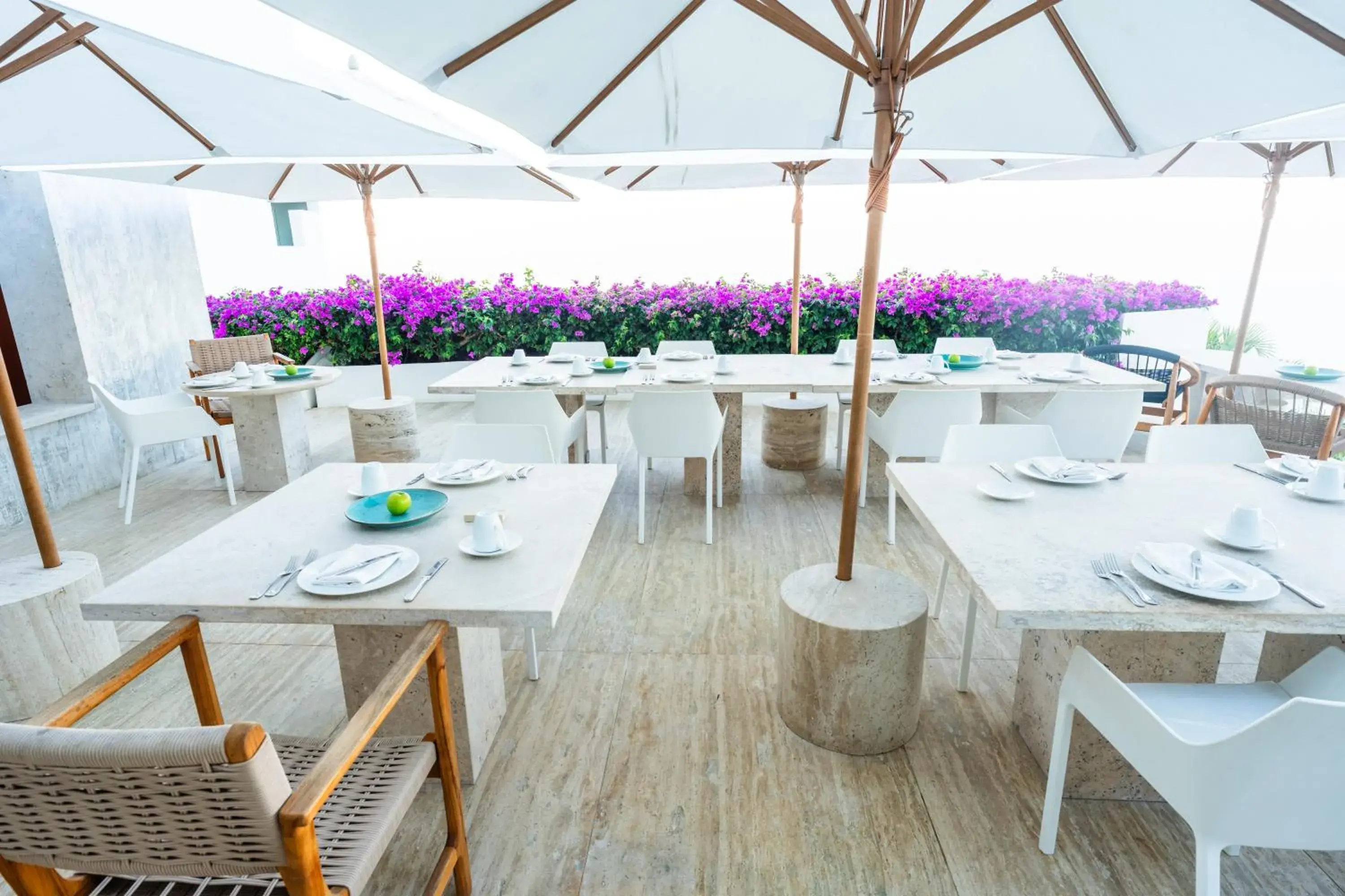 Restaurant/places to eat in Encanto Acapulco Restaurant/places to eat in Encanto Acapulco