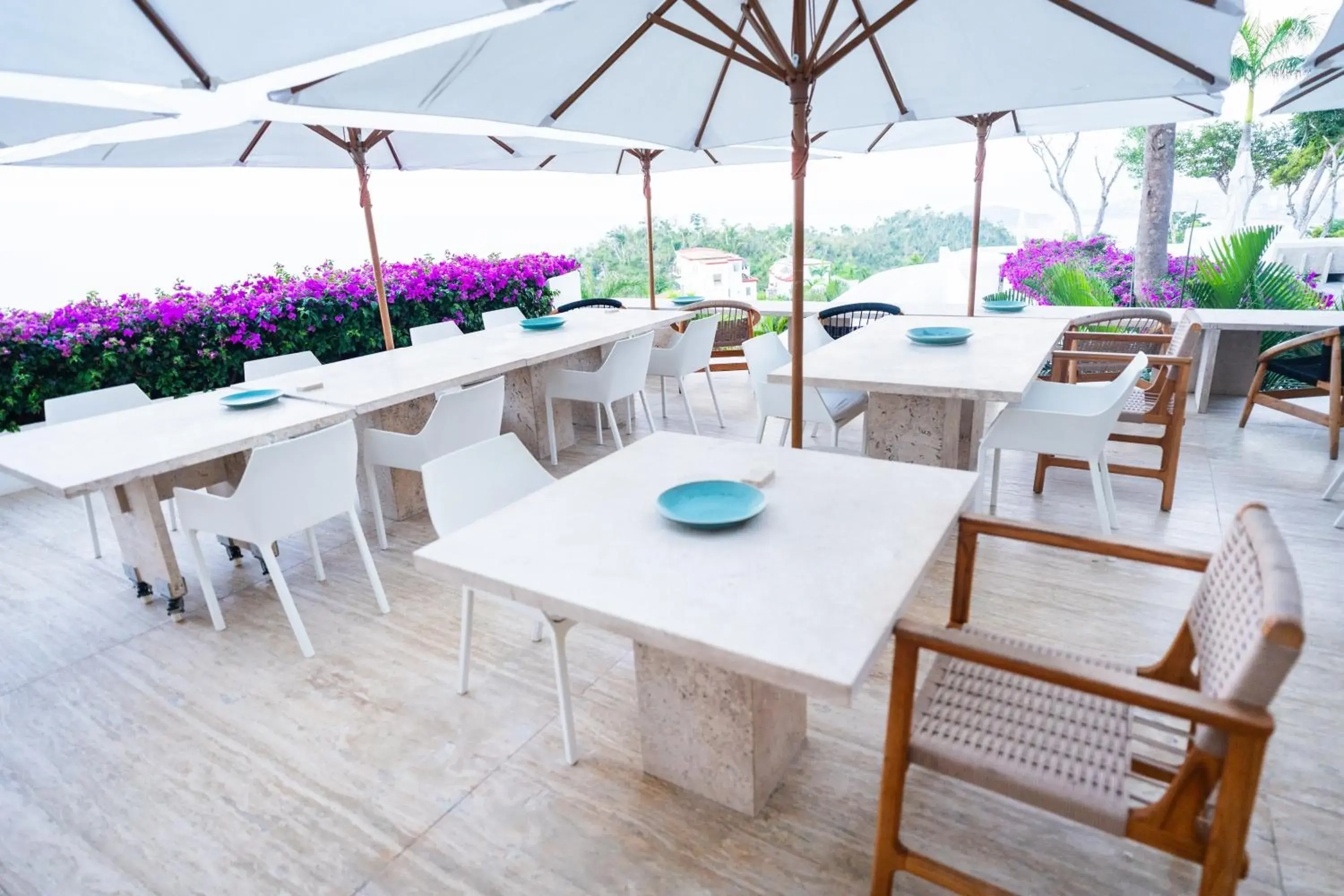 Restaurant/places to eat in Encanto Acapulco Restaurant/places to eat in Encanto Acapulco