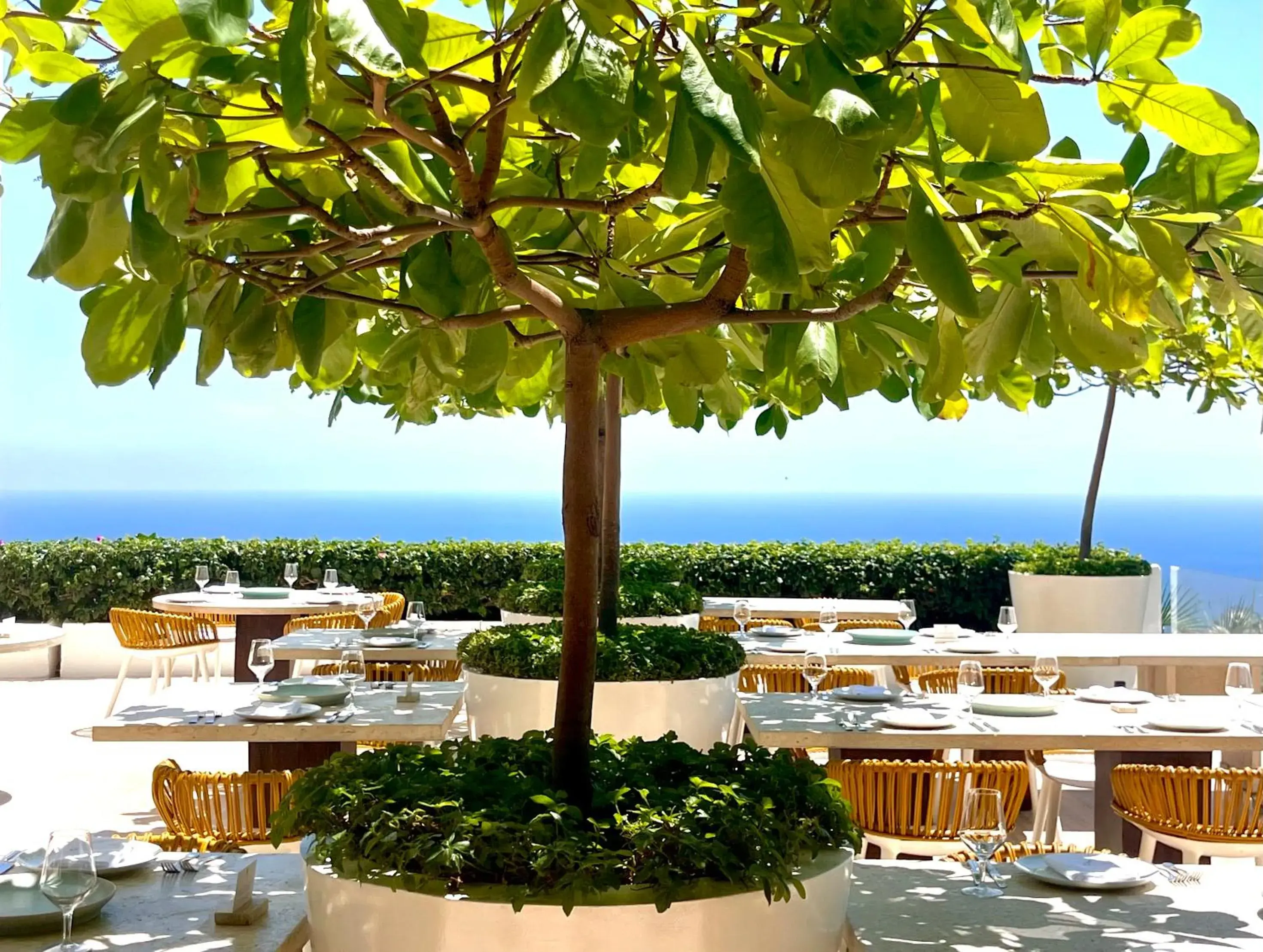 Restaurant/places to eat in Encanto Acapulco Restaurant/places to eat in Encanto Acapulco