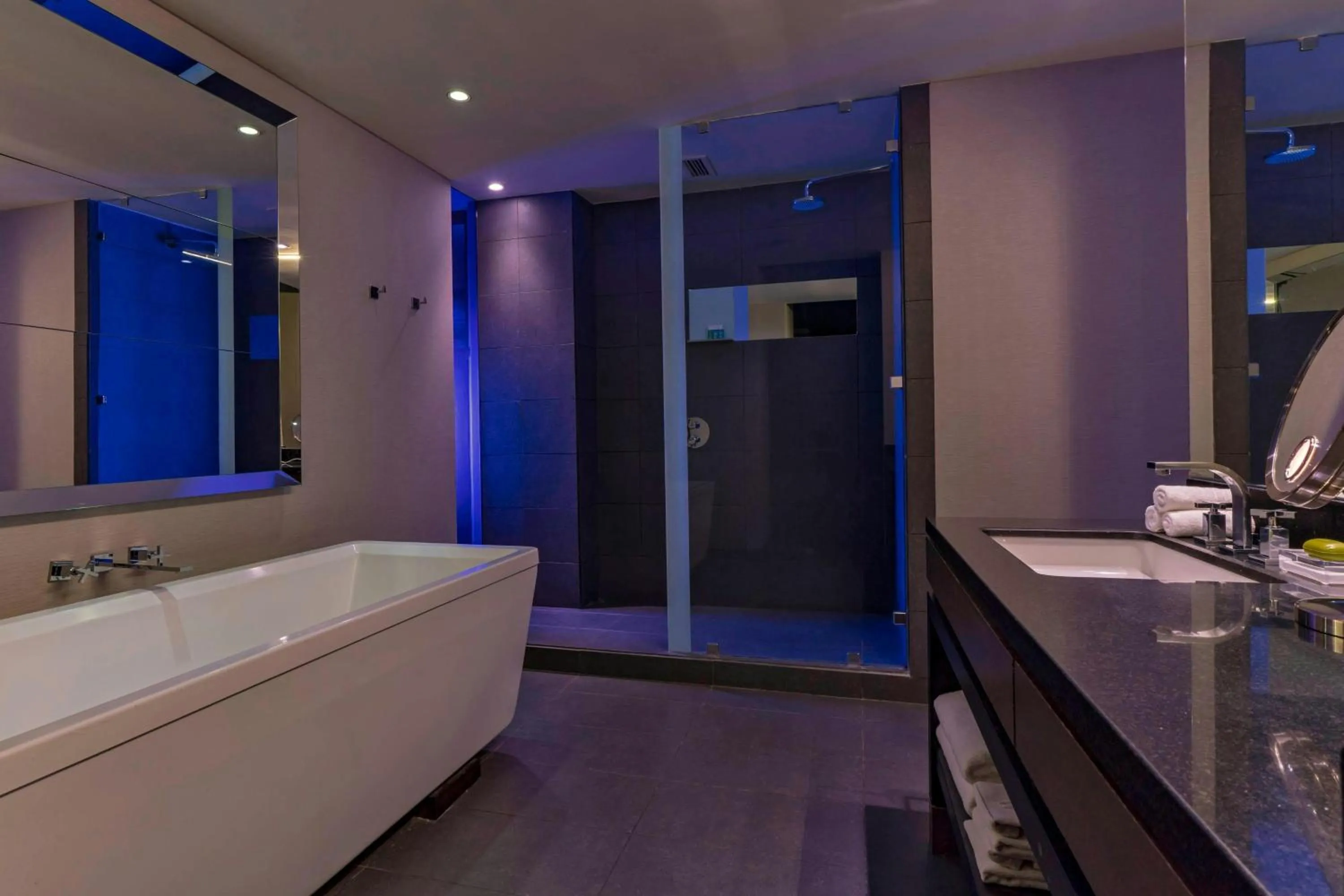 Bathroom in W Santiago