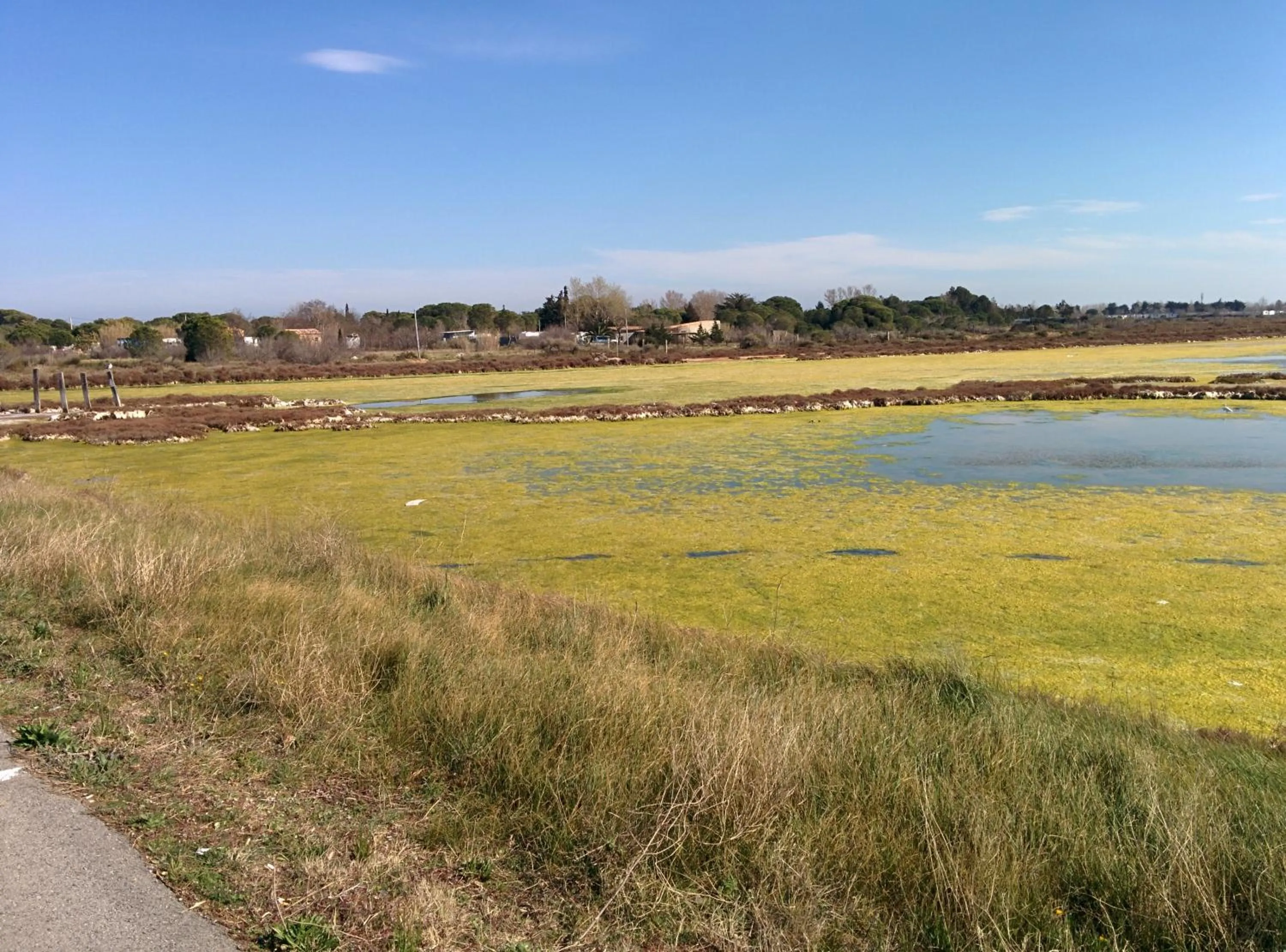Natural landscape in Hotel Araur