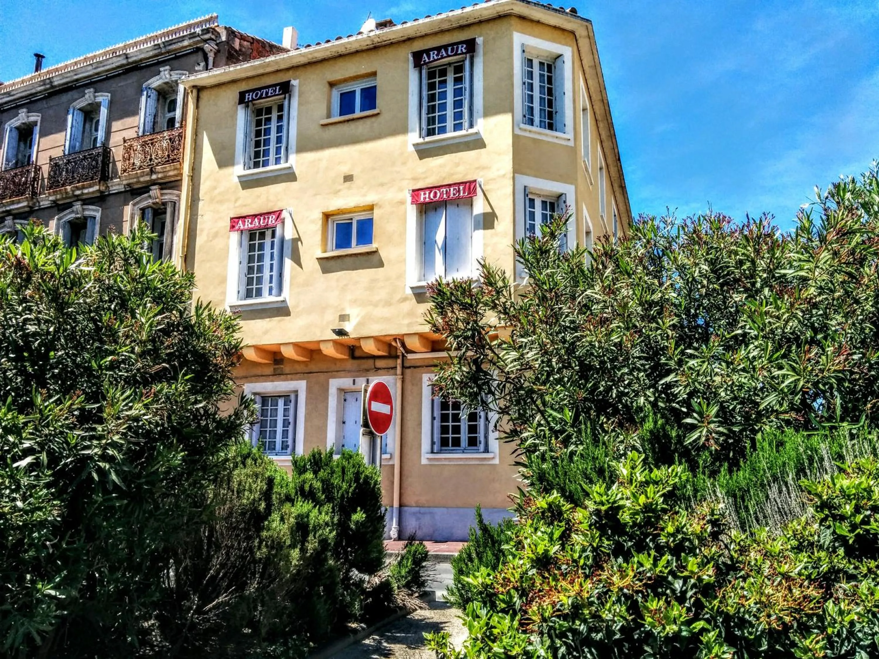 Garden in Hotel Araur