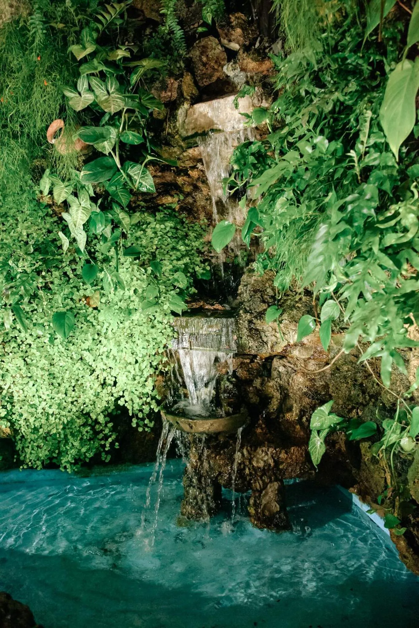 Restaurant/places to eat in Hotel Carrera