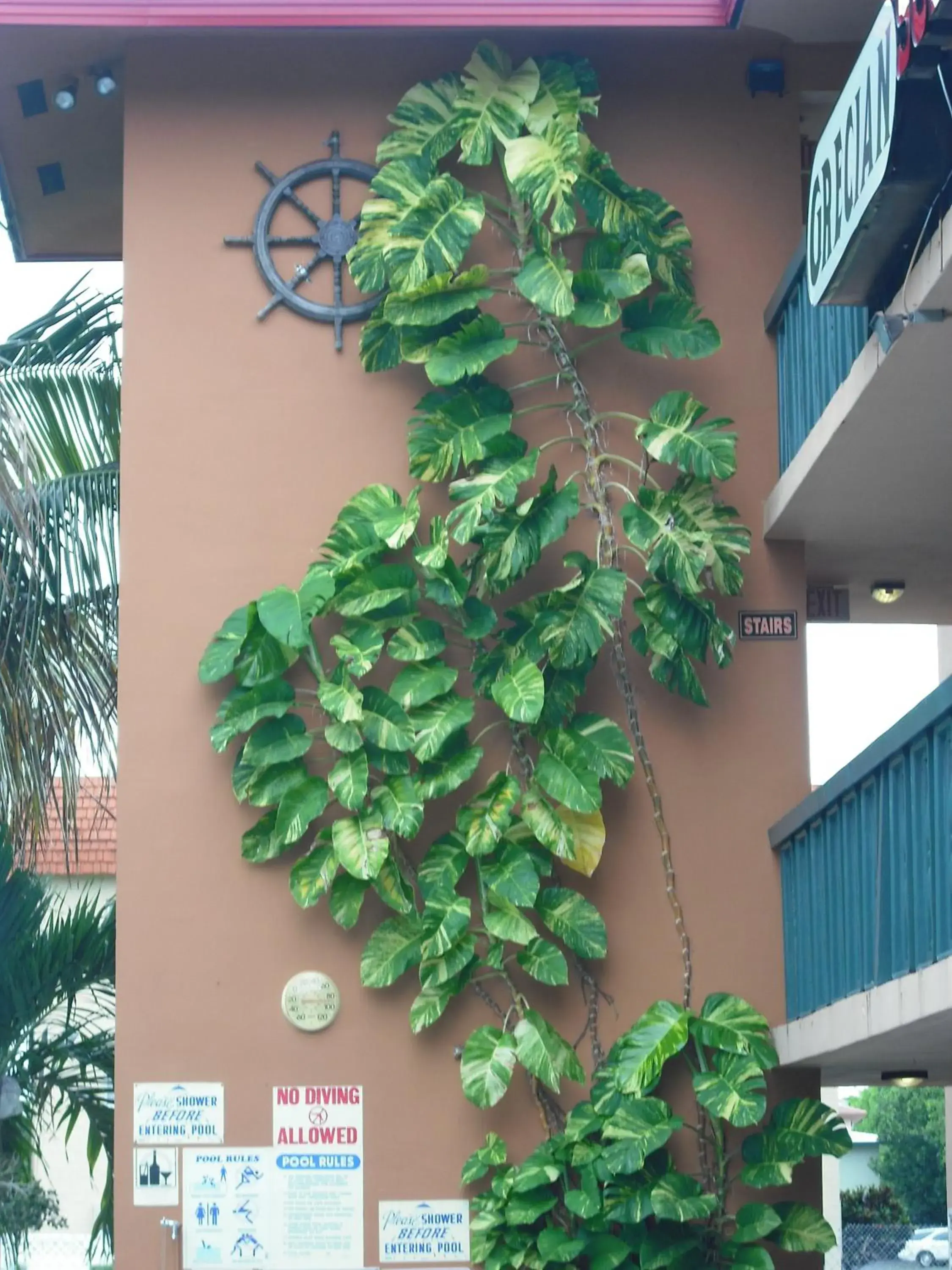 View (from property/room) in Ft. Lauderdale Beach Resort Hotel View (from property/room) in Ft. Lauderdale Beach Resort Hotel