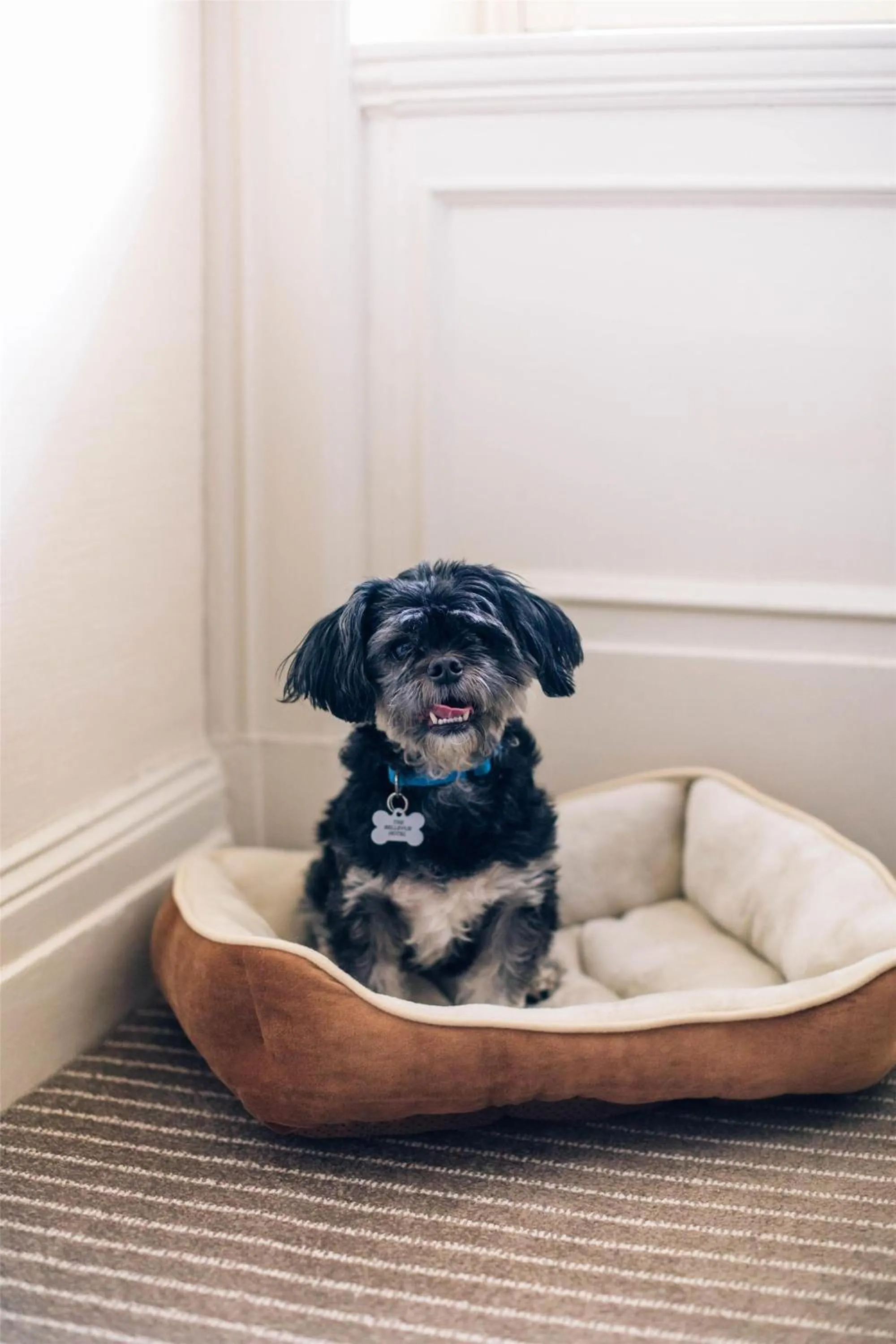 Bedroom in The Bellevue Hotel, in the Unbound Collection by Hyatt