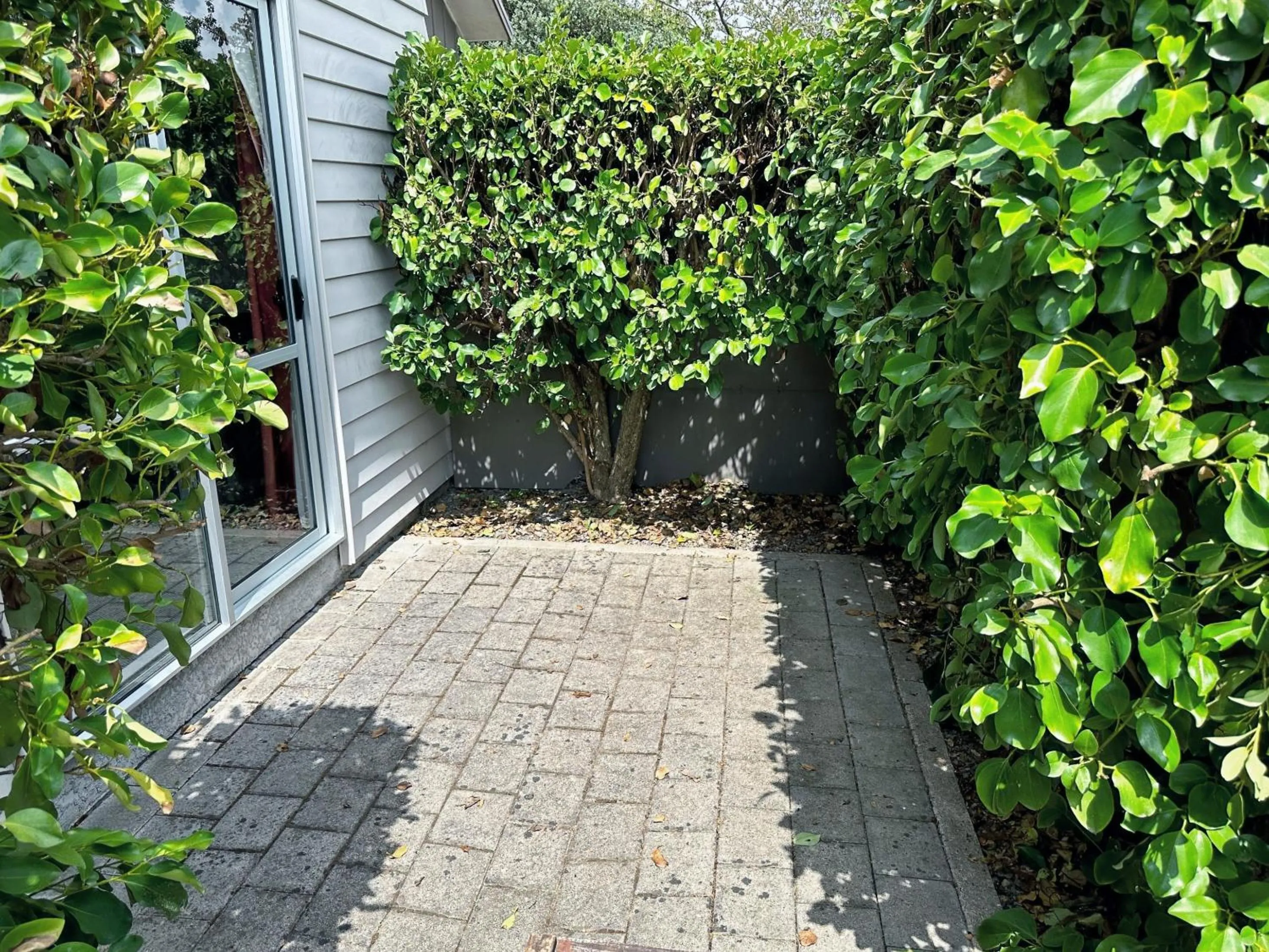 Patio in Arena Lodge