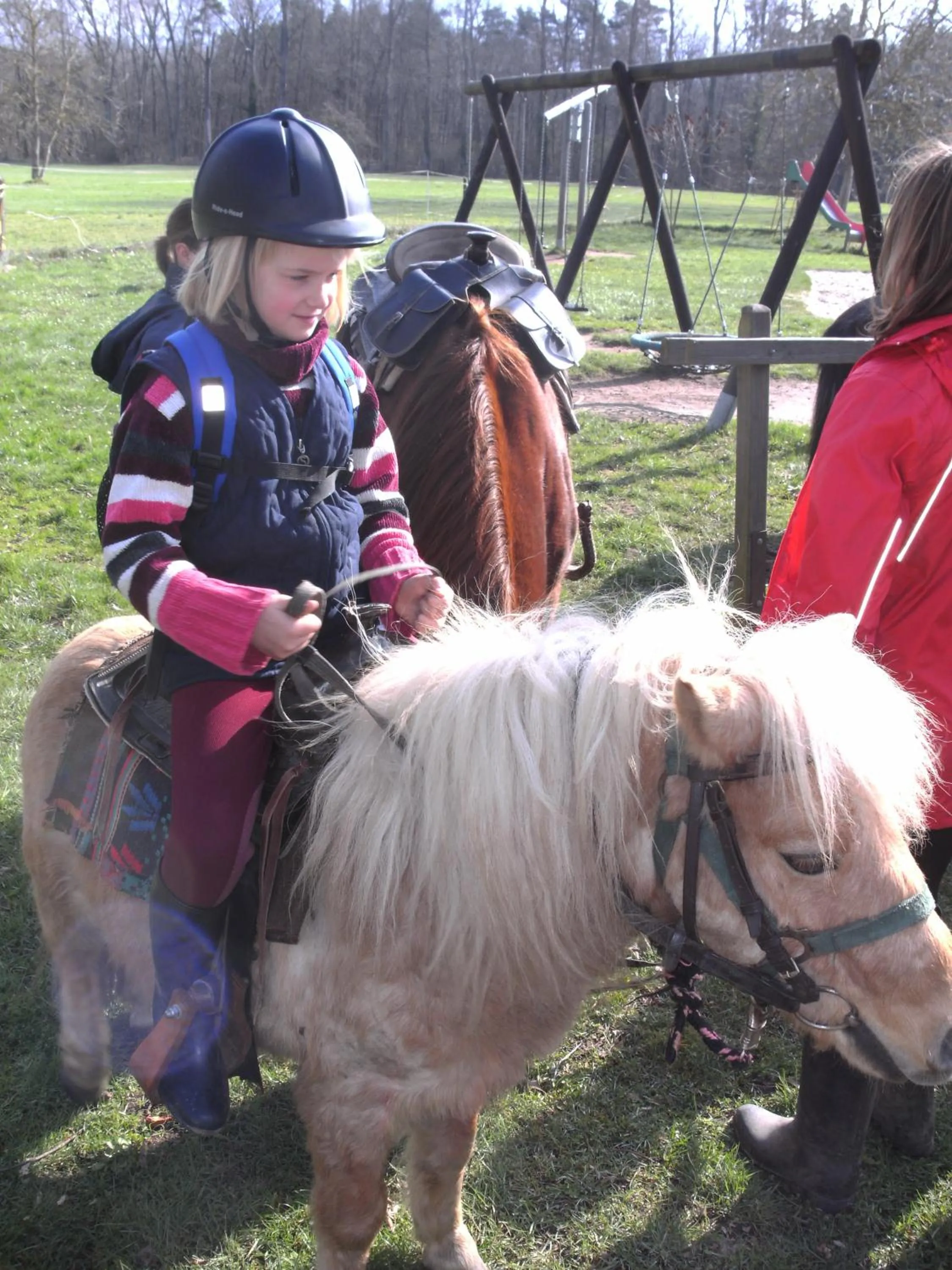 Horse-riding in Landhotel Garni Knittelsheimer Mühle