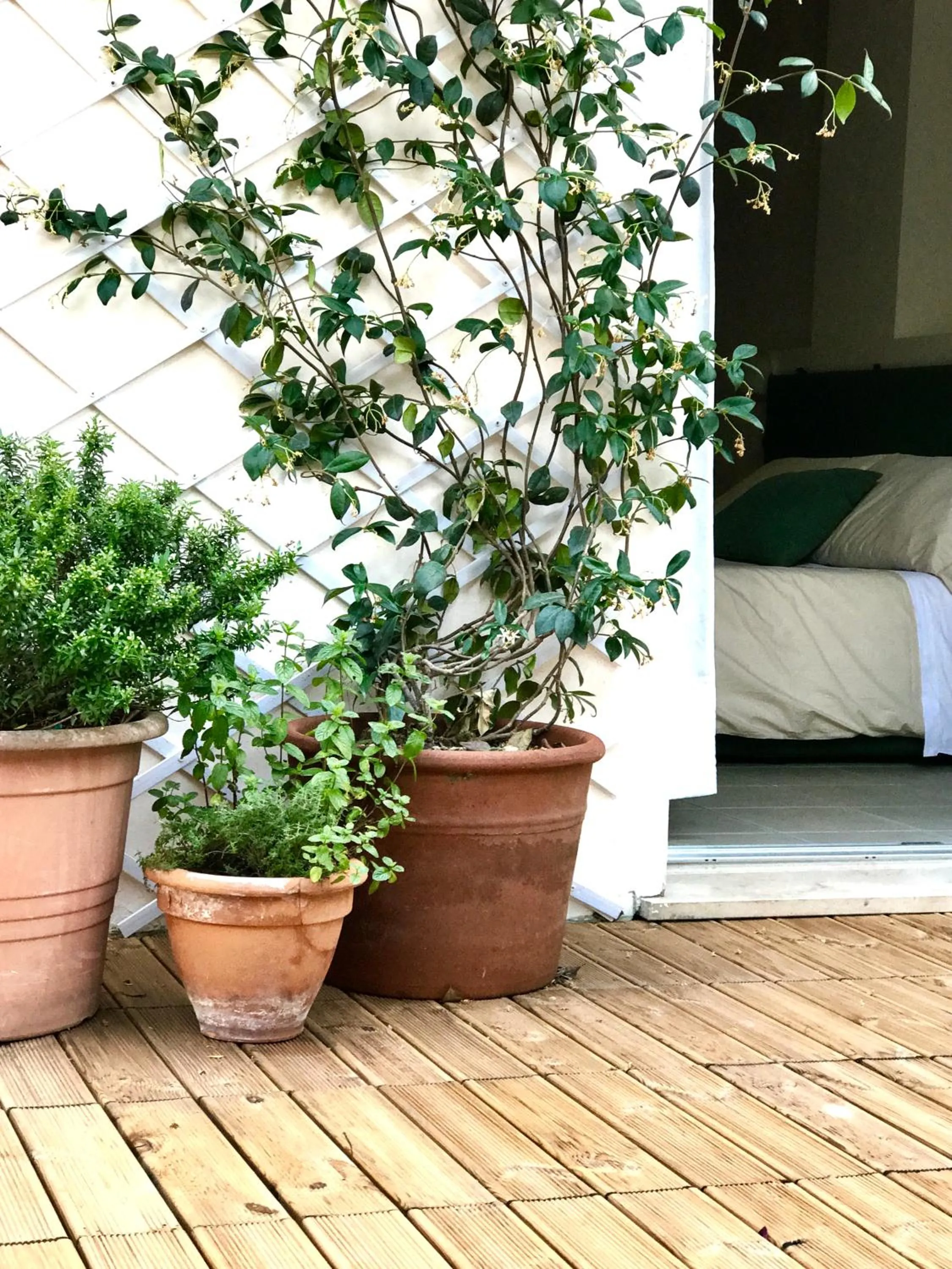 Garden in Harvey Suites Hotel & Residence