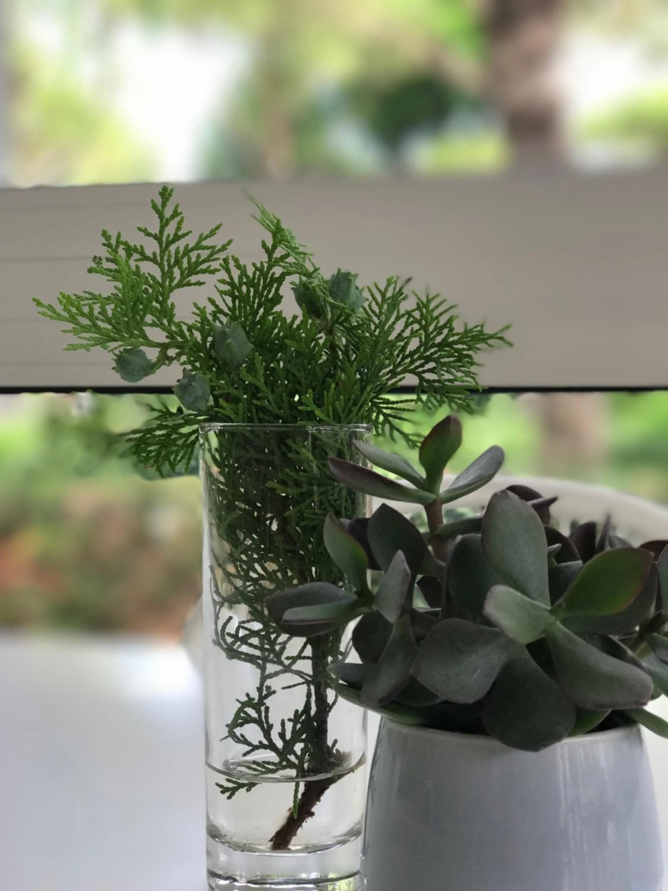 Restaurant/places to eat in Harvey Suites Hotel & Residence