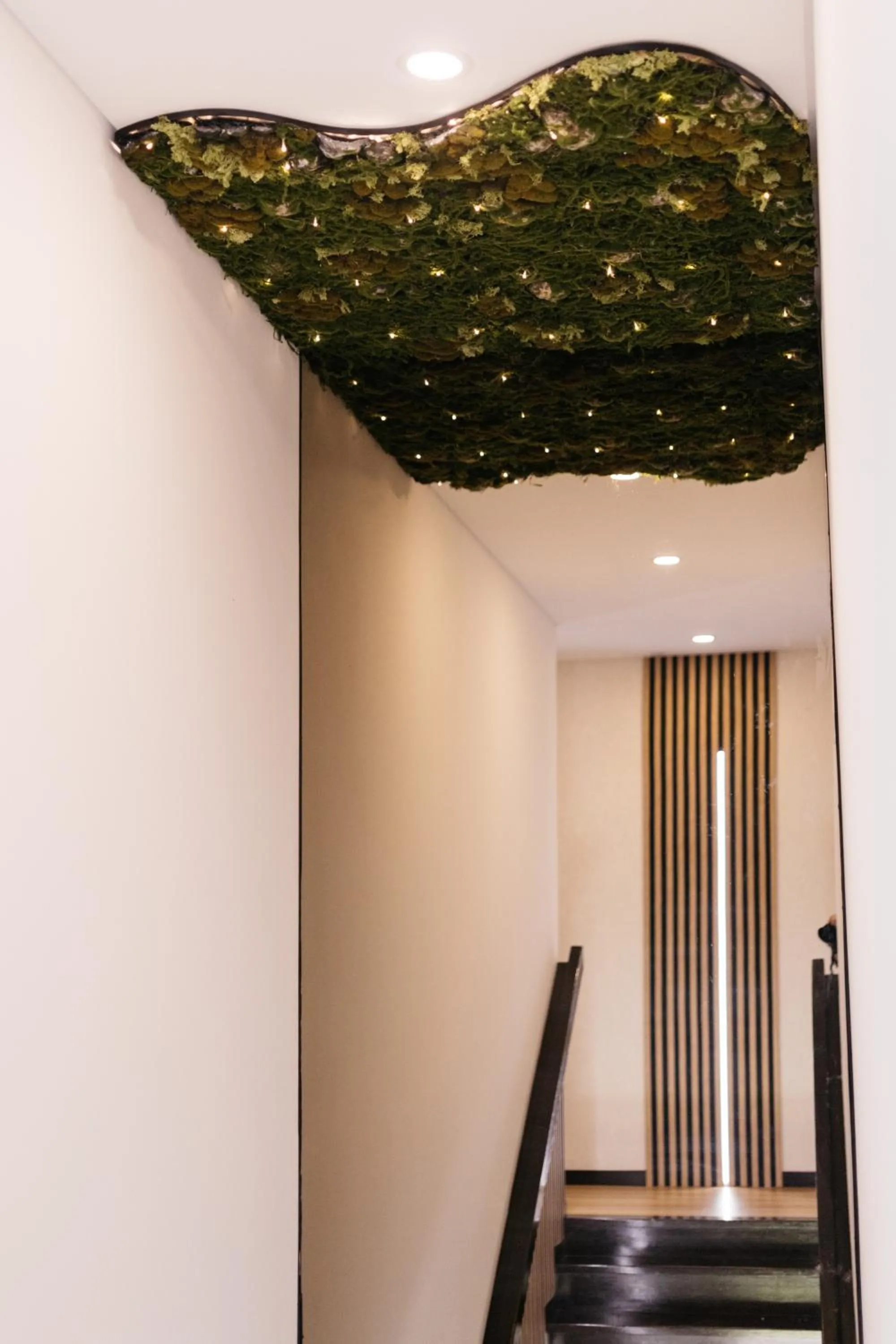 Property building in Quinta do Bento