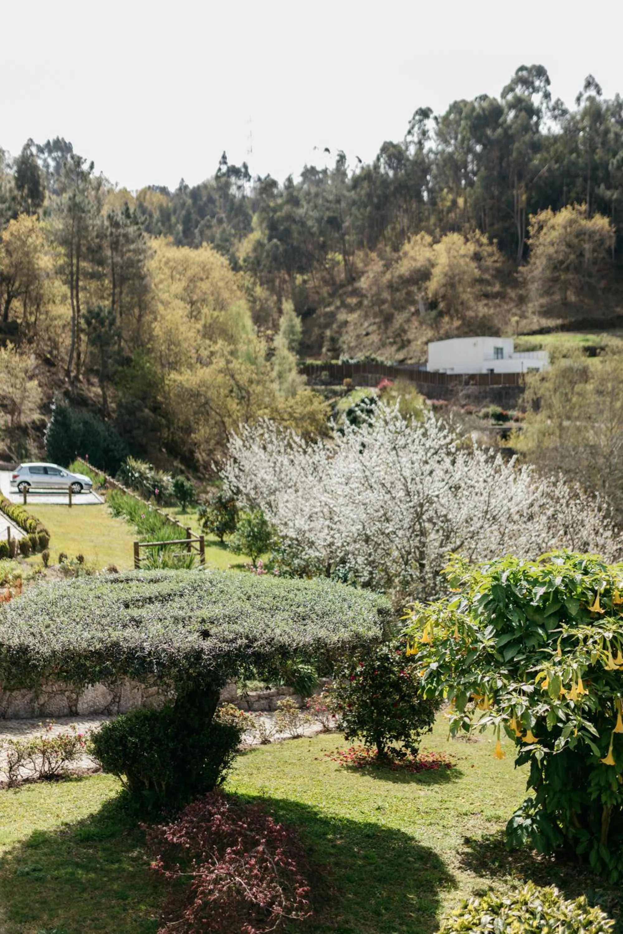 Garden in Quinta do Bento